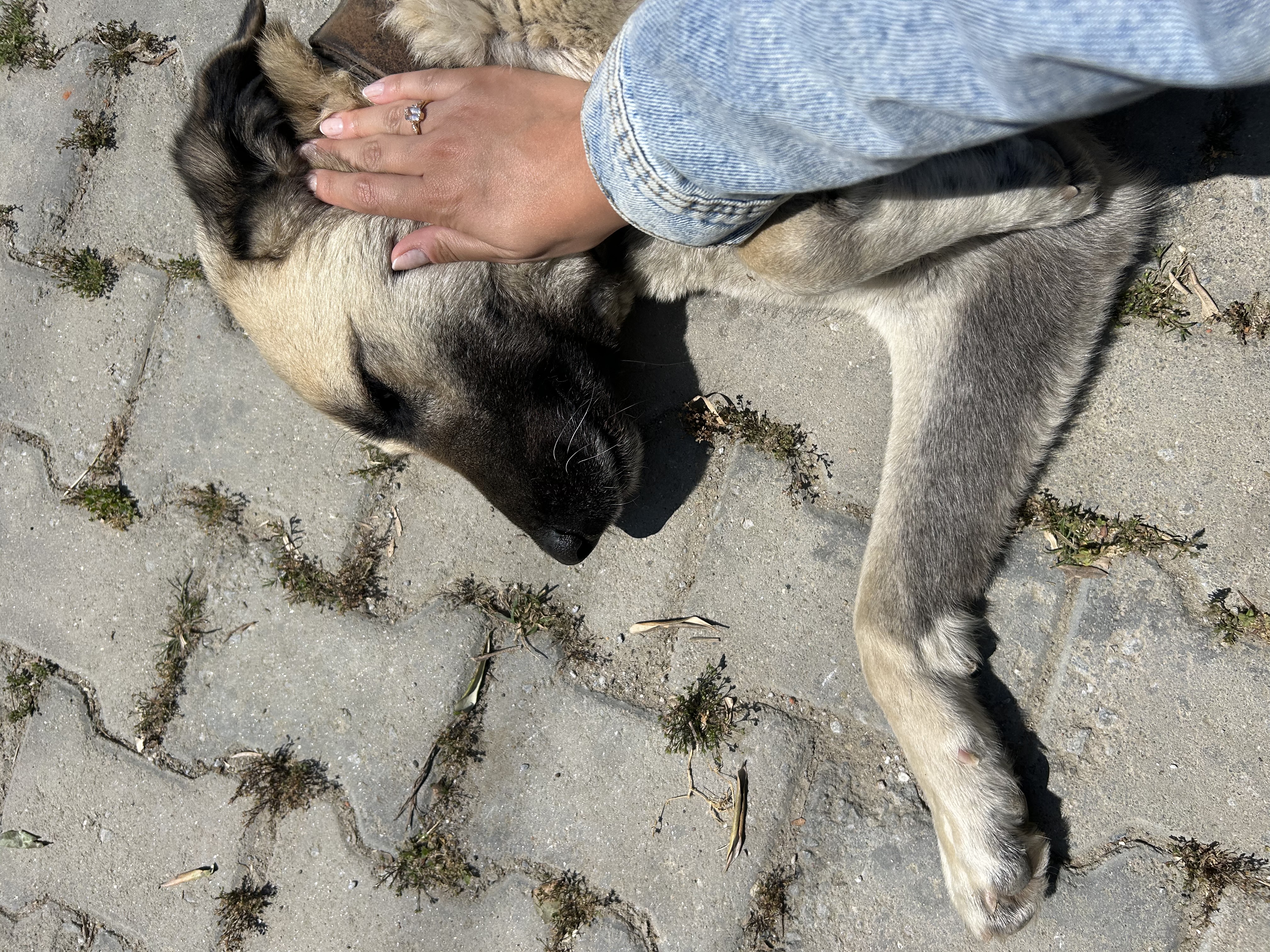 image-7