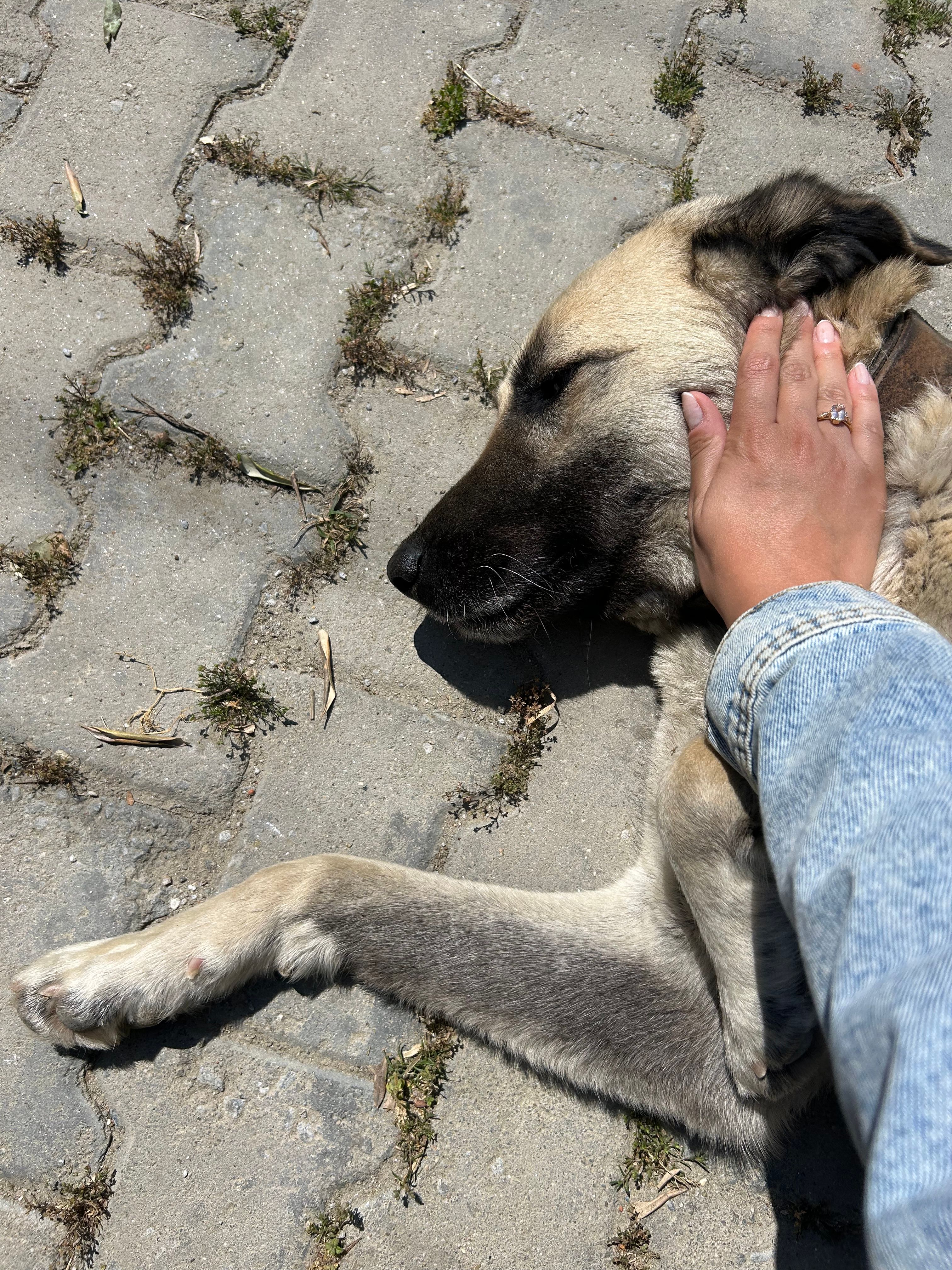 image-7