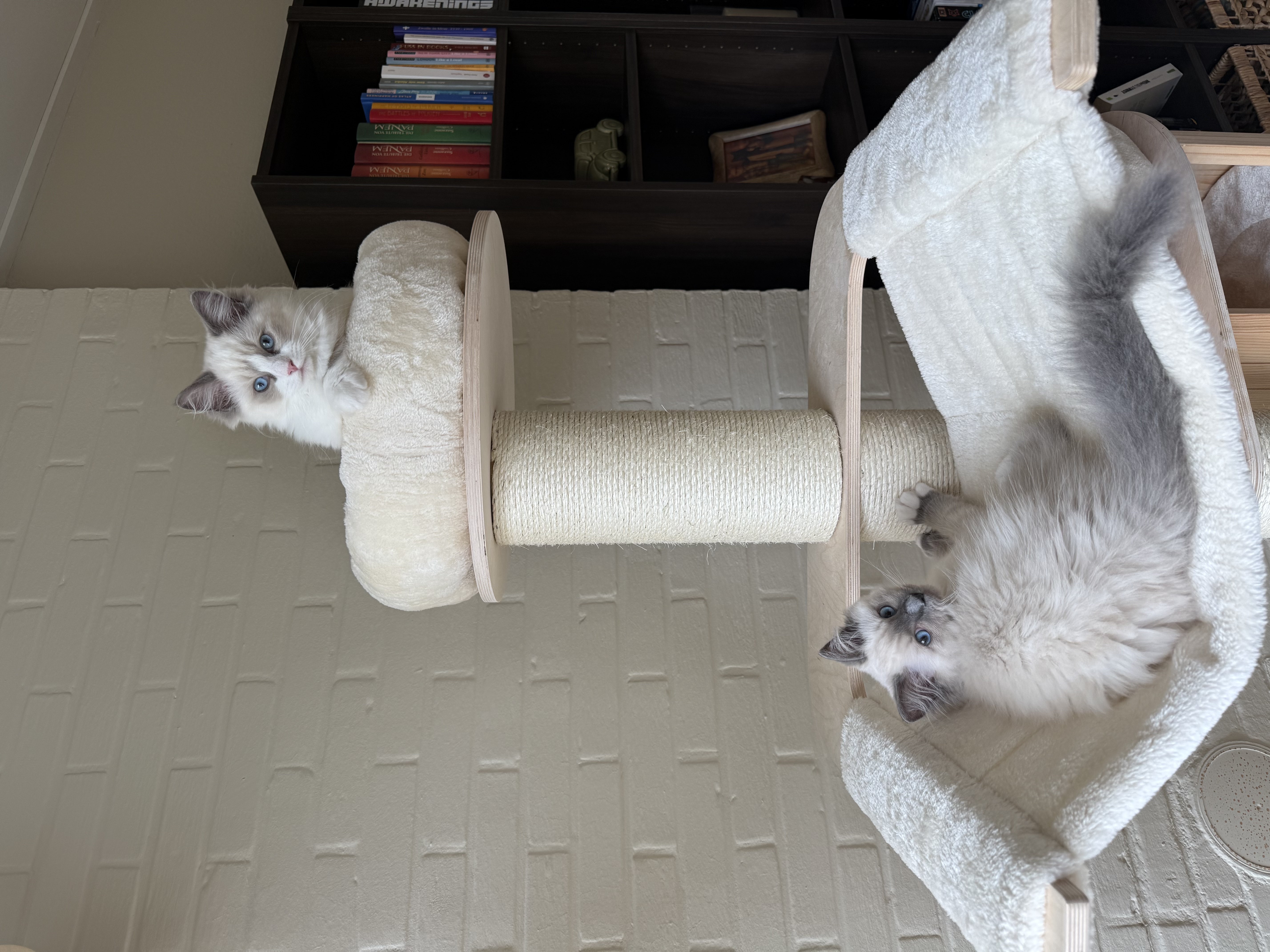image-9