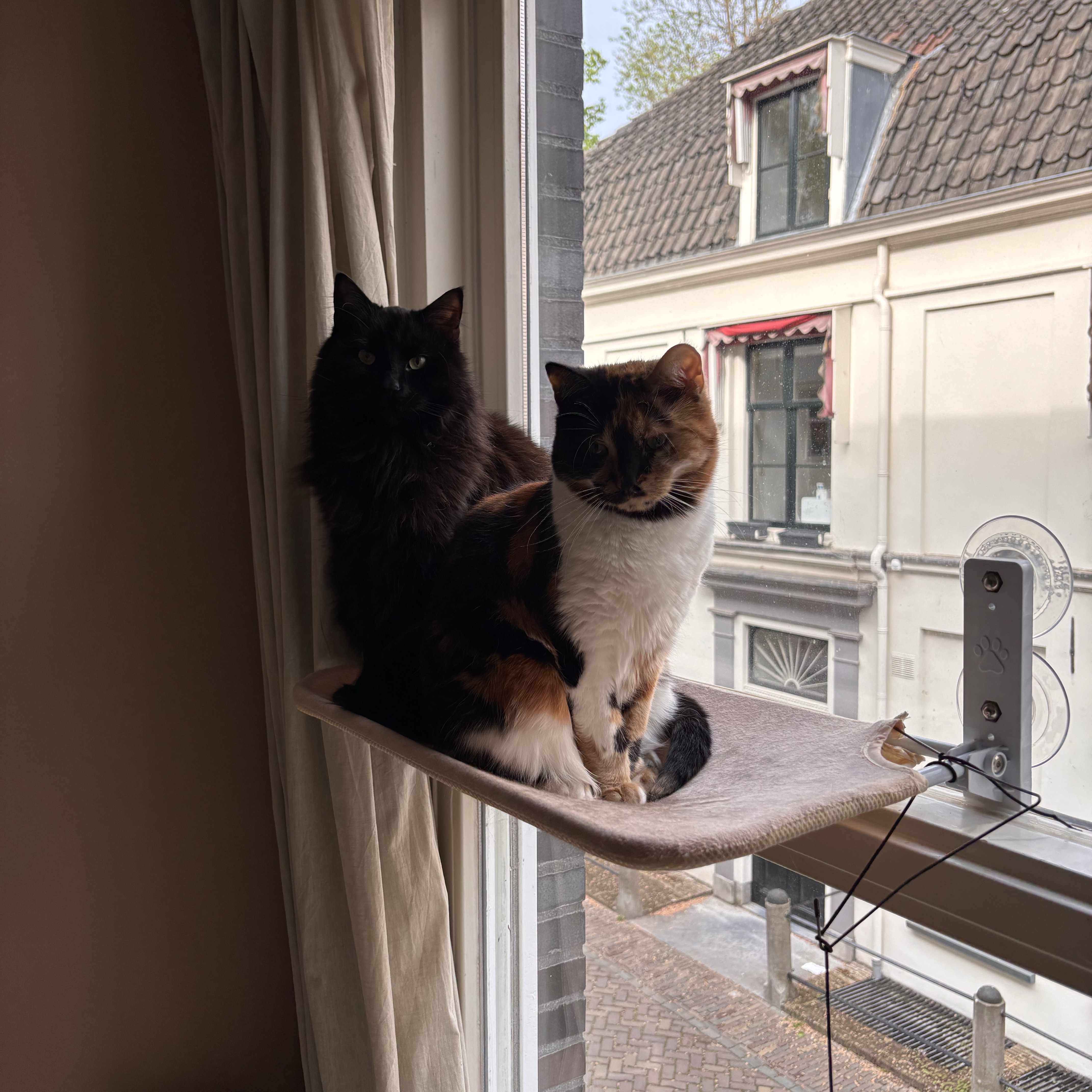 Po & Cira
