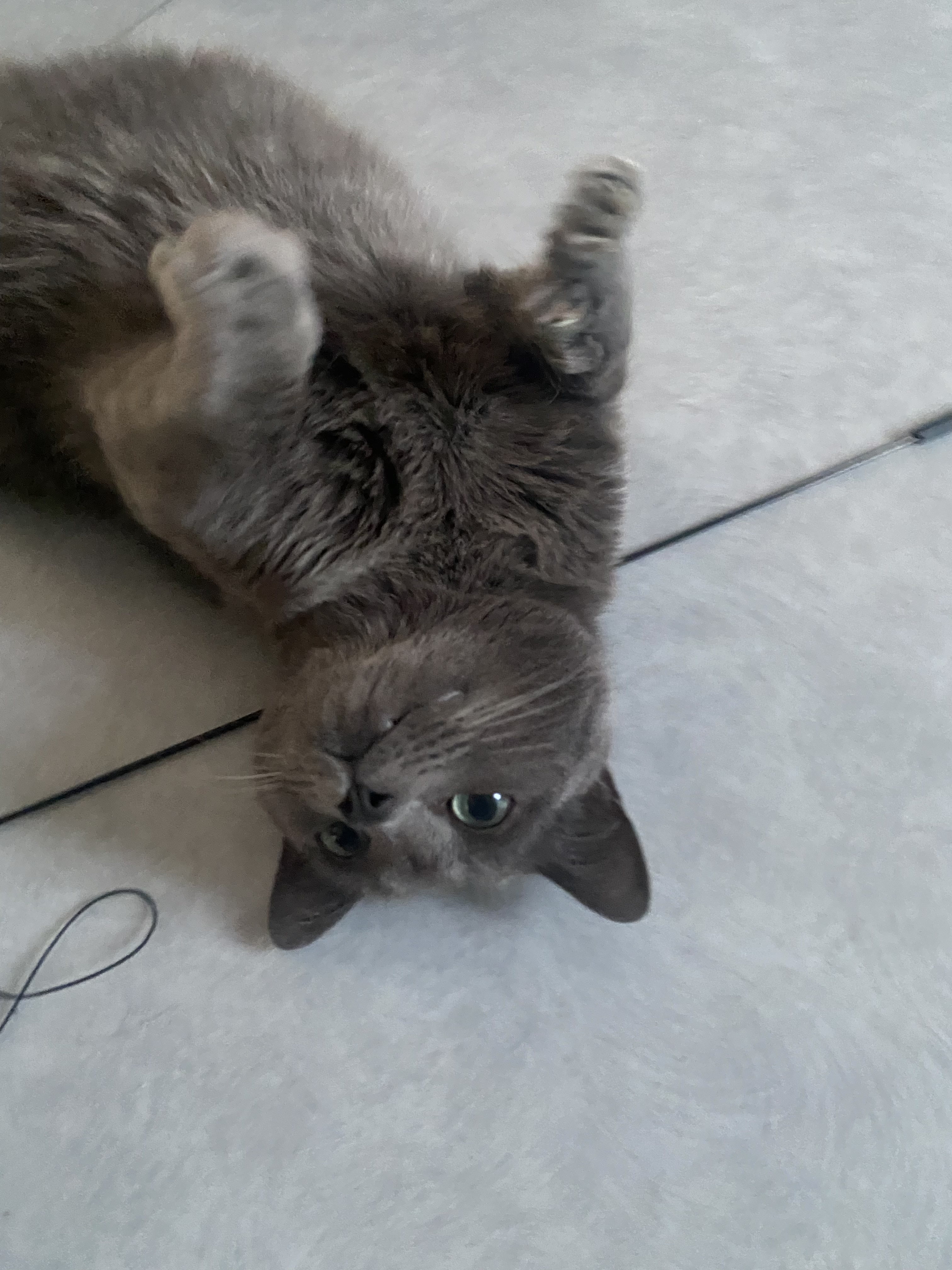 image-8