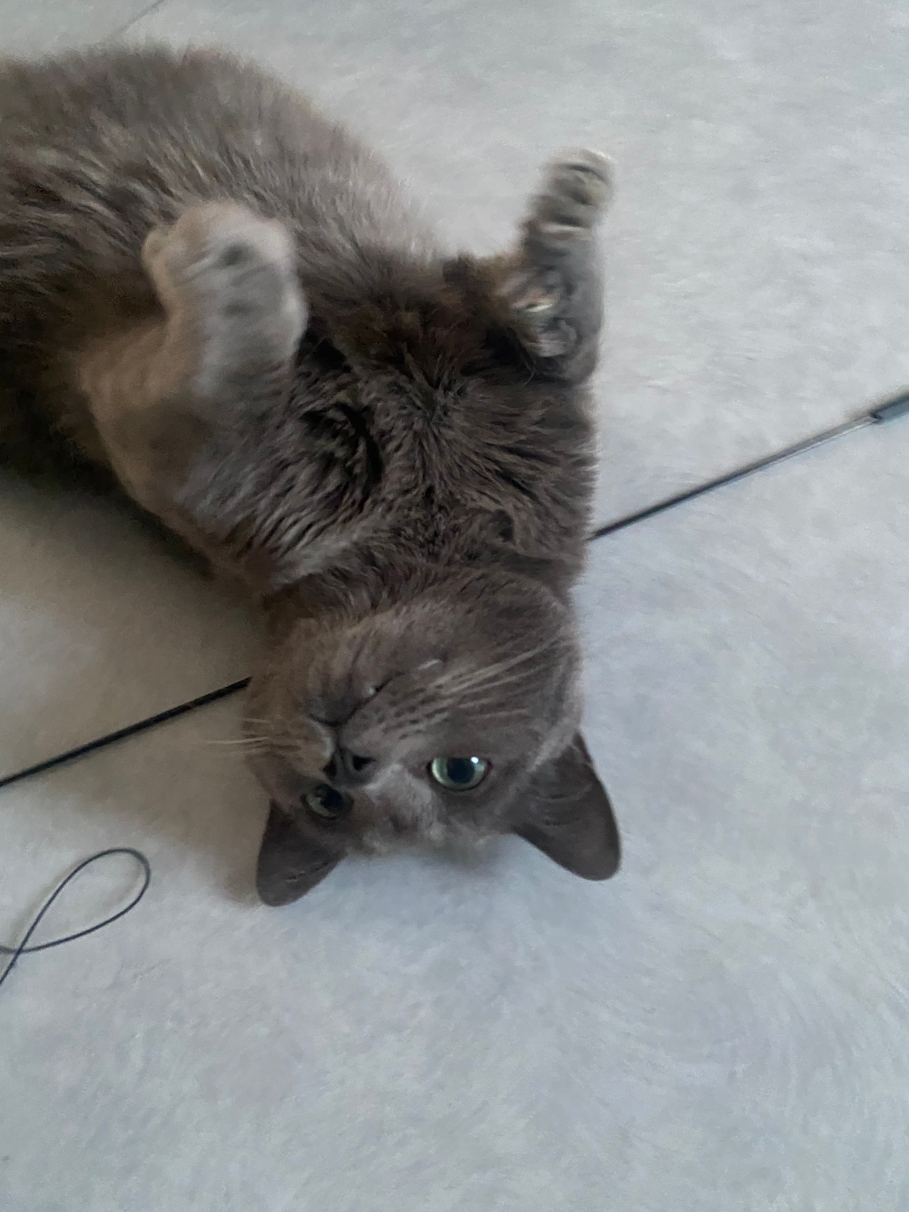 image-8