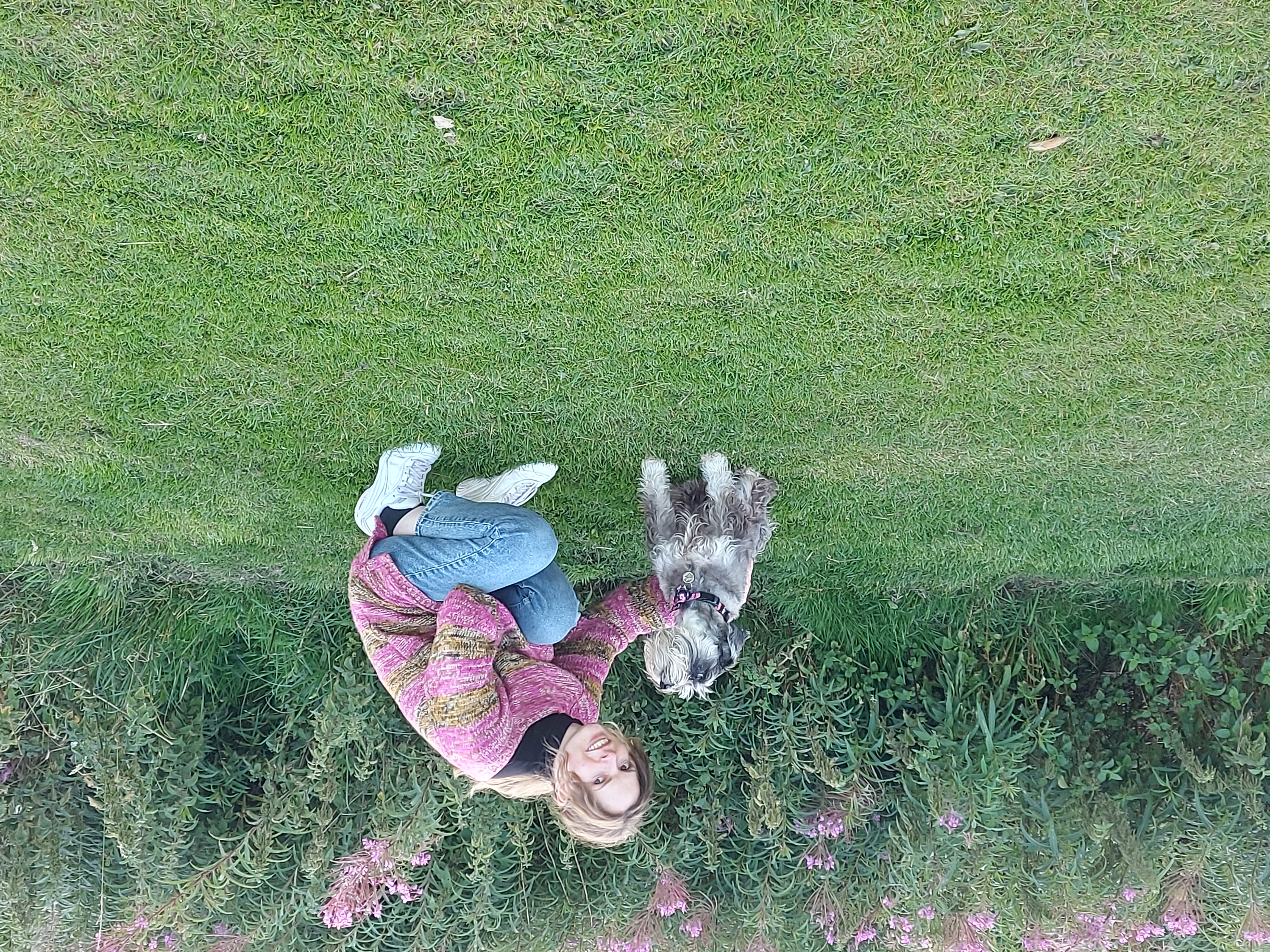 image-5