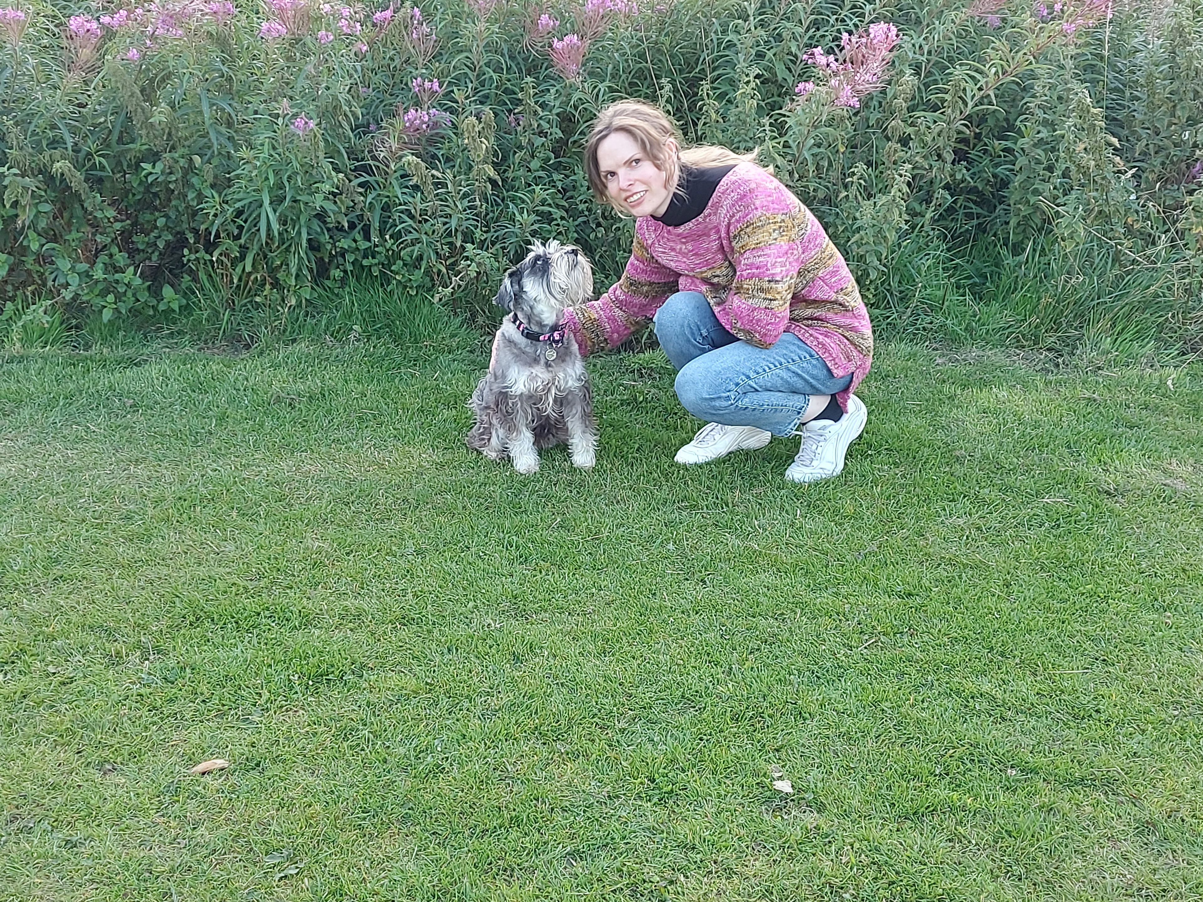 image-5