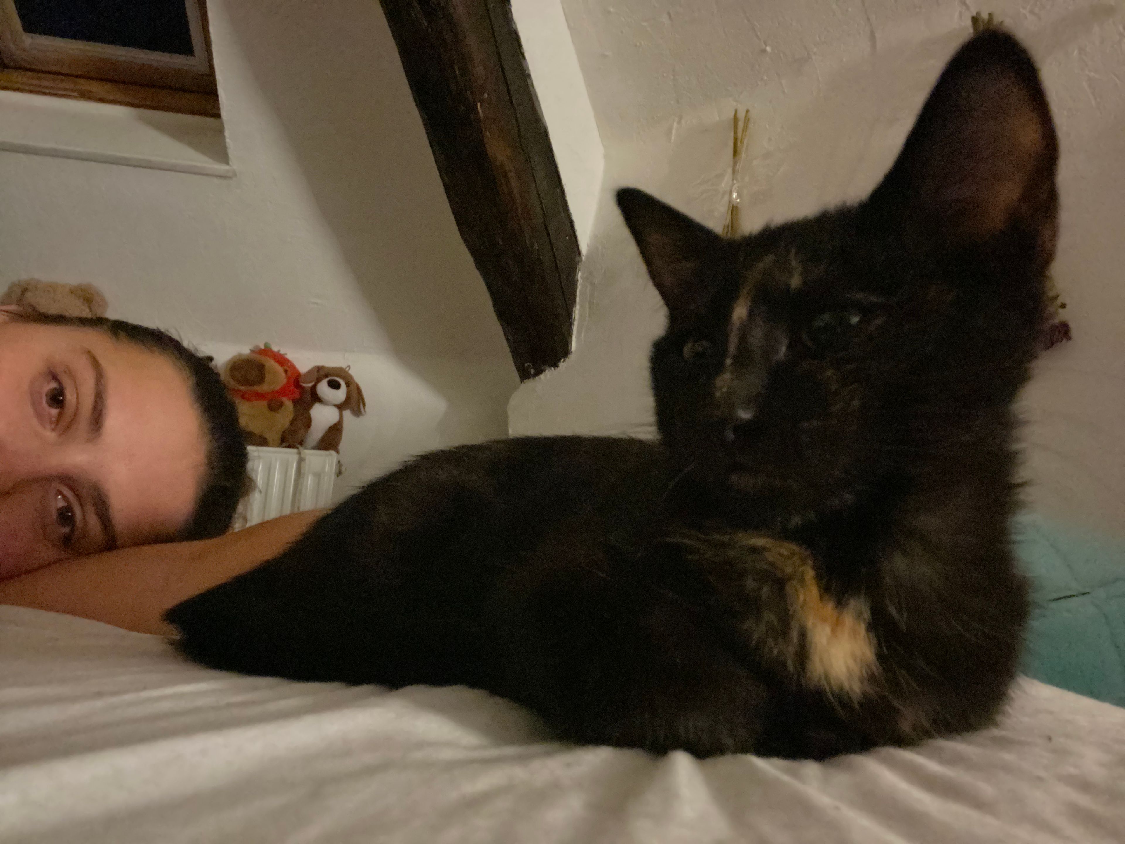 image-6
