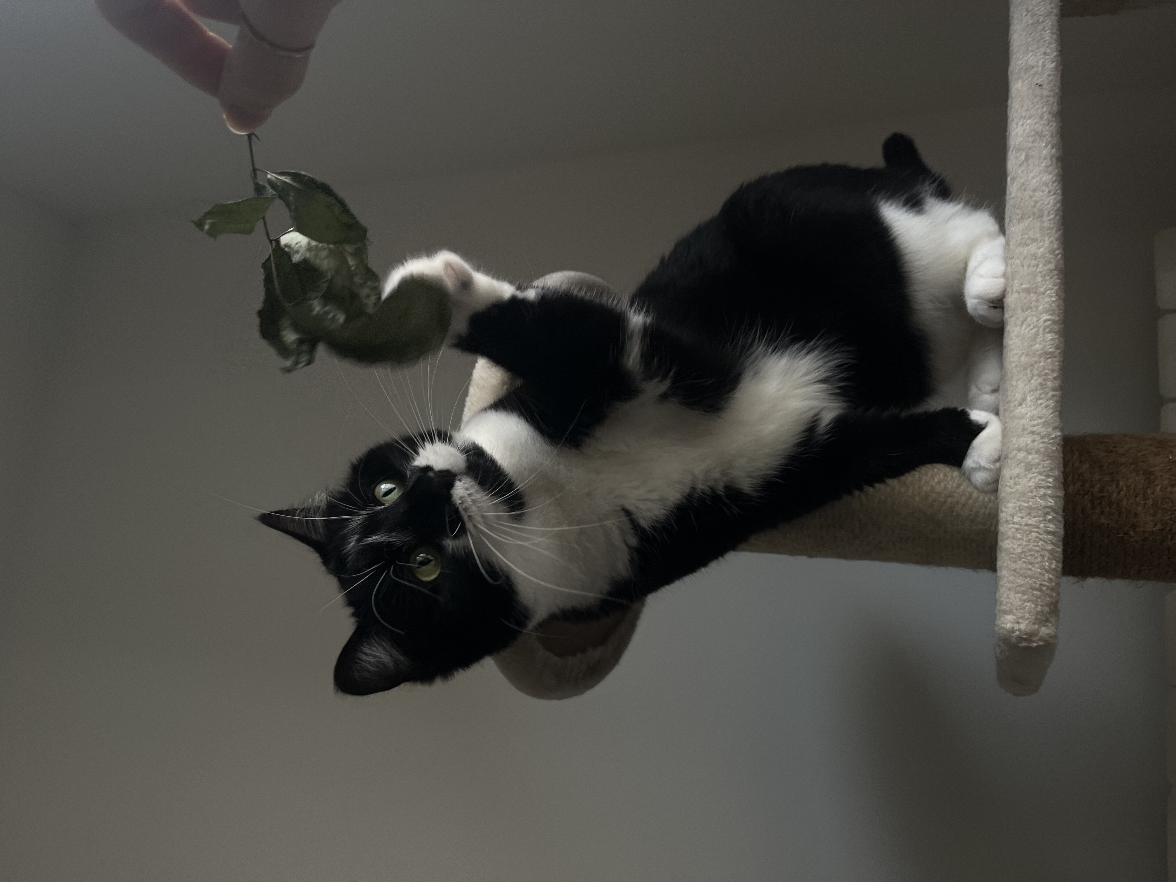 image-11