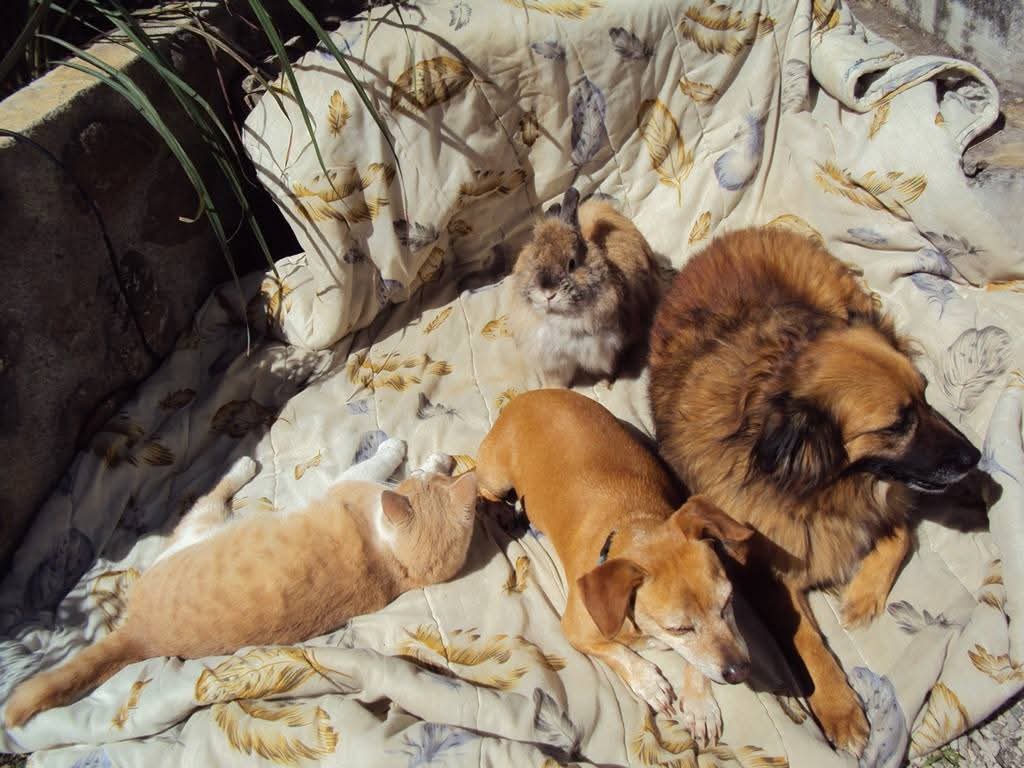 image-8