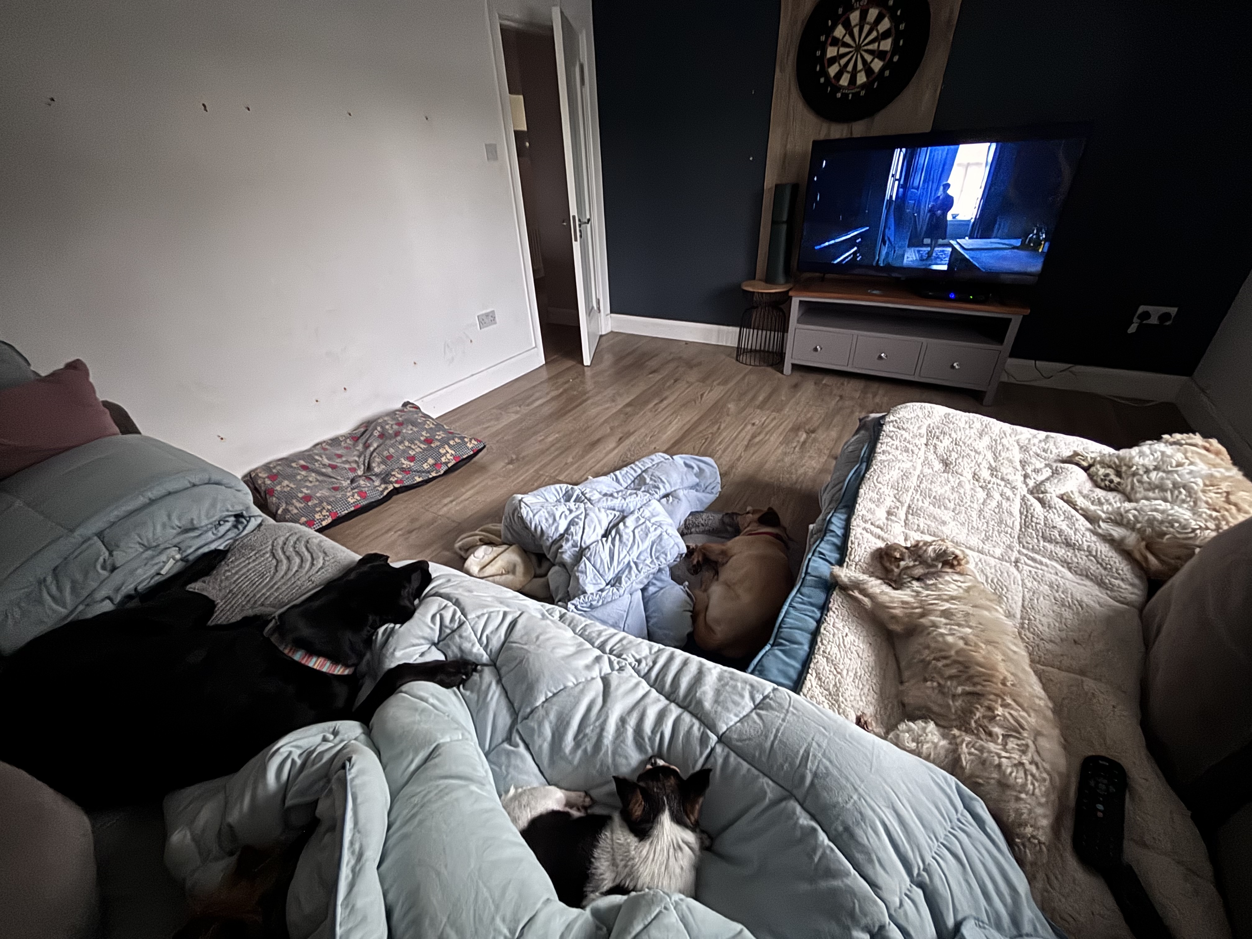 image-12