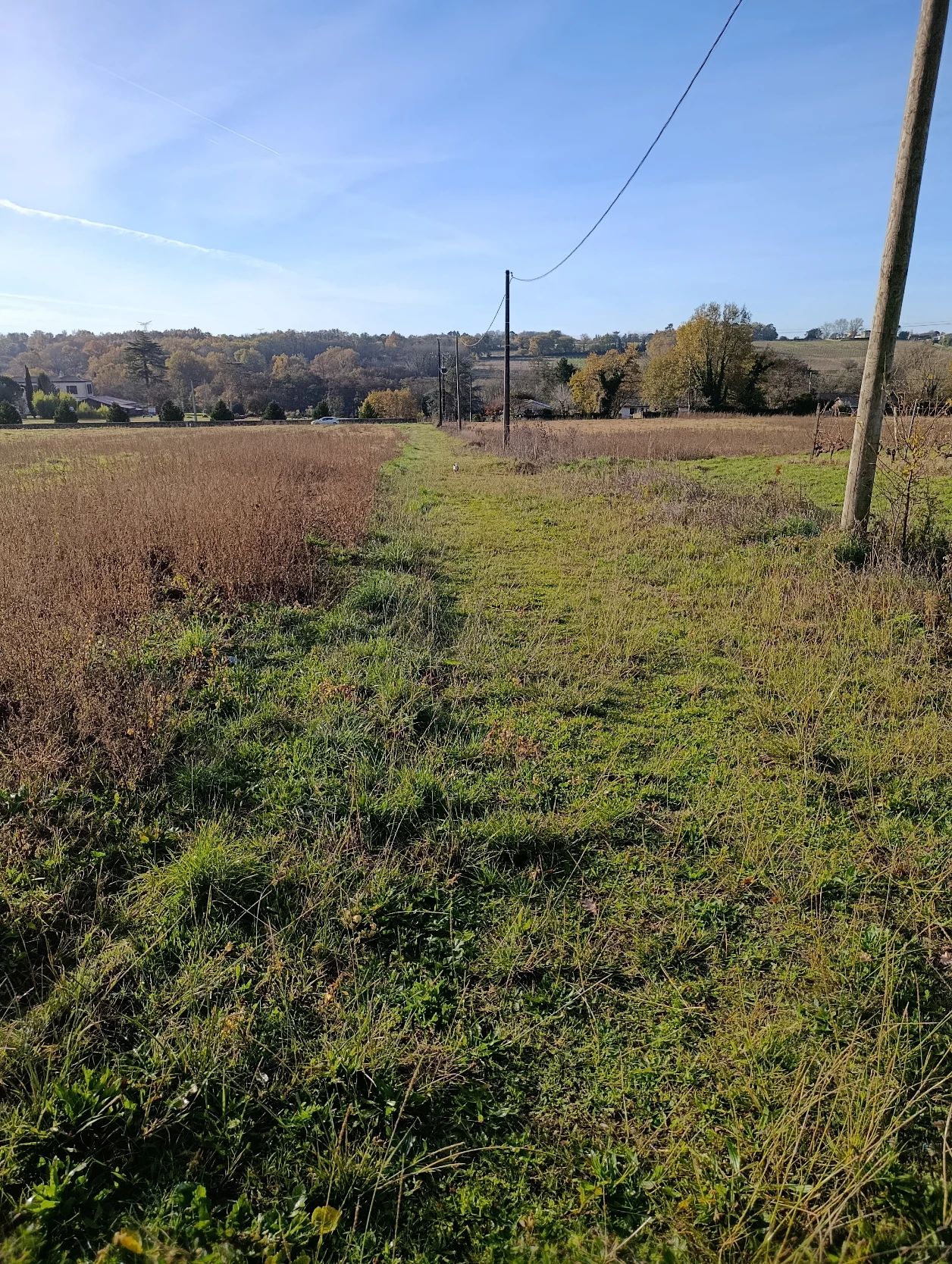 image-16