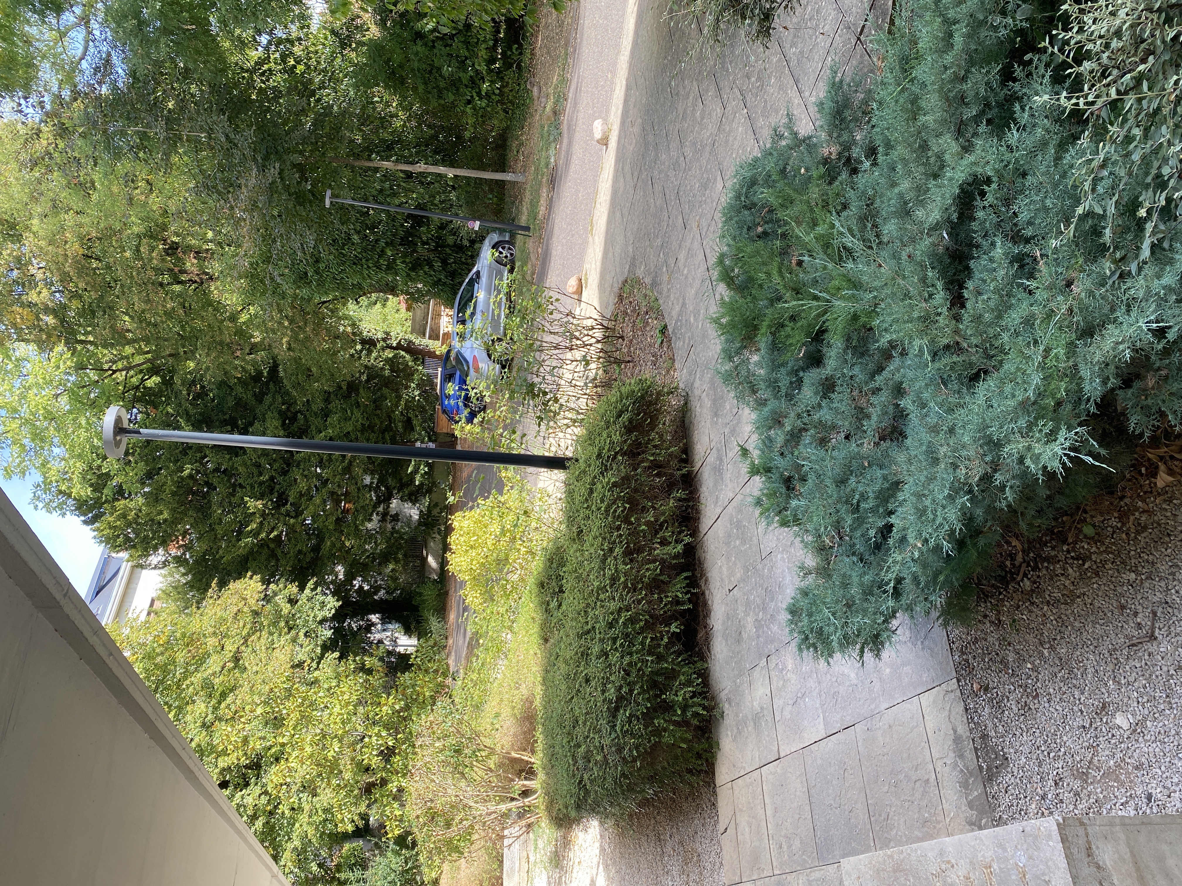 image-17