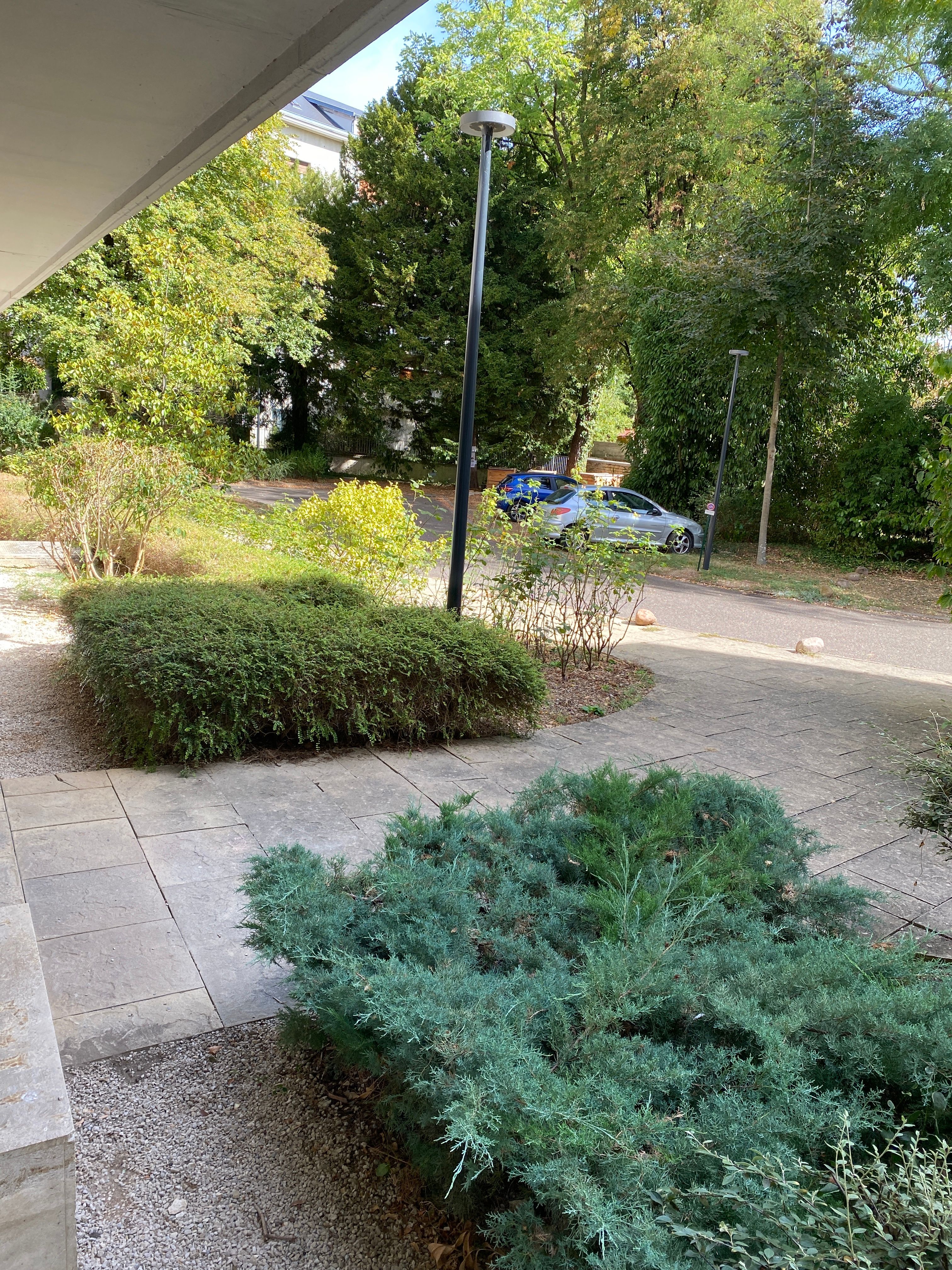 image-17