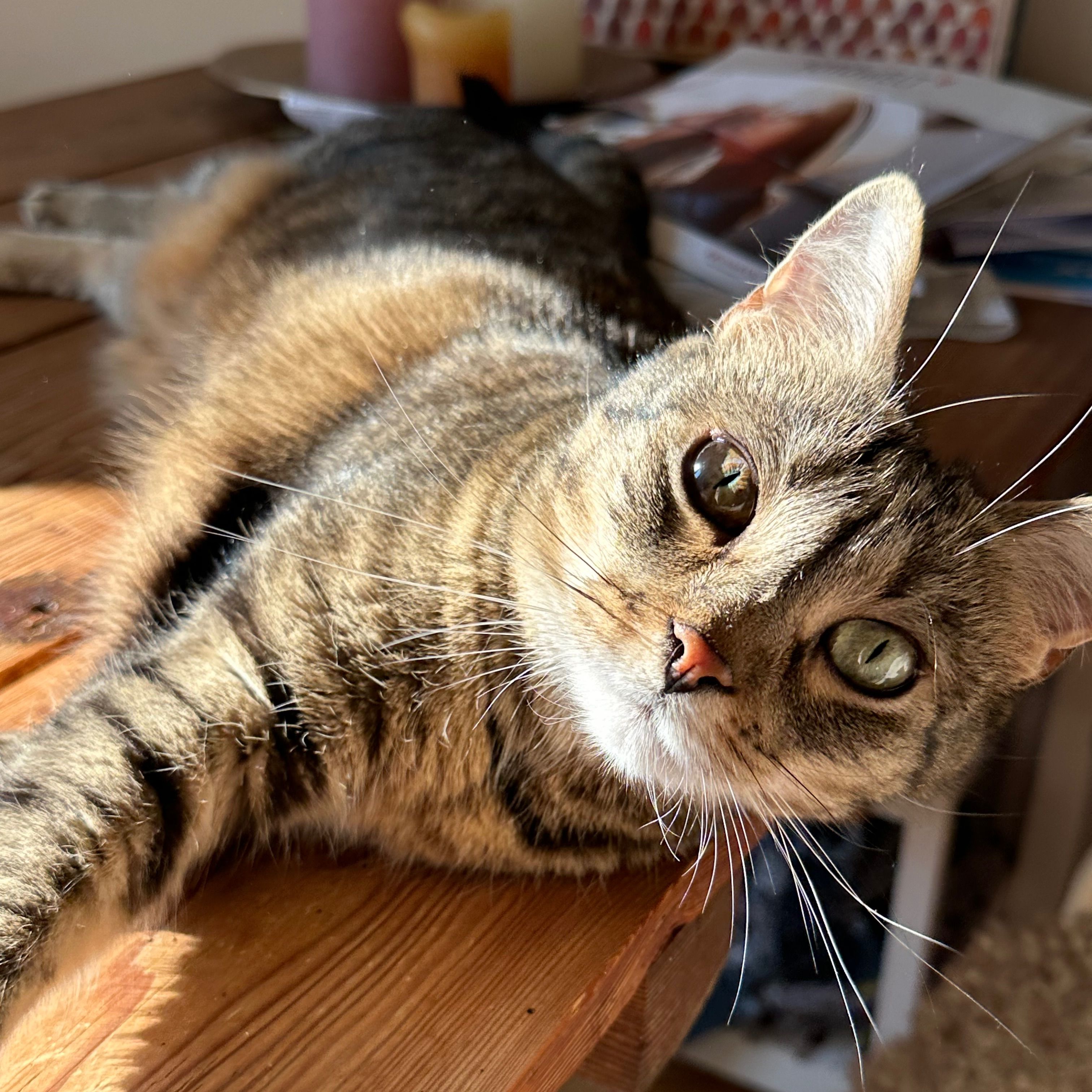 Millie