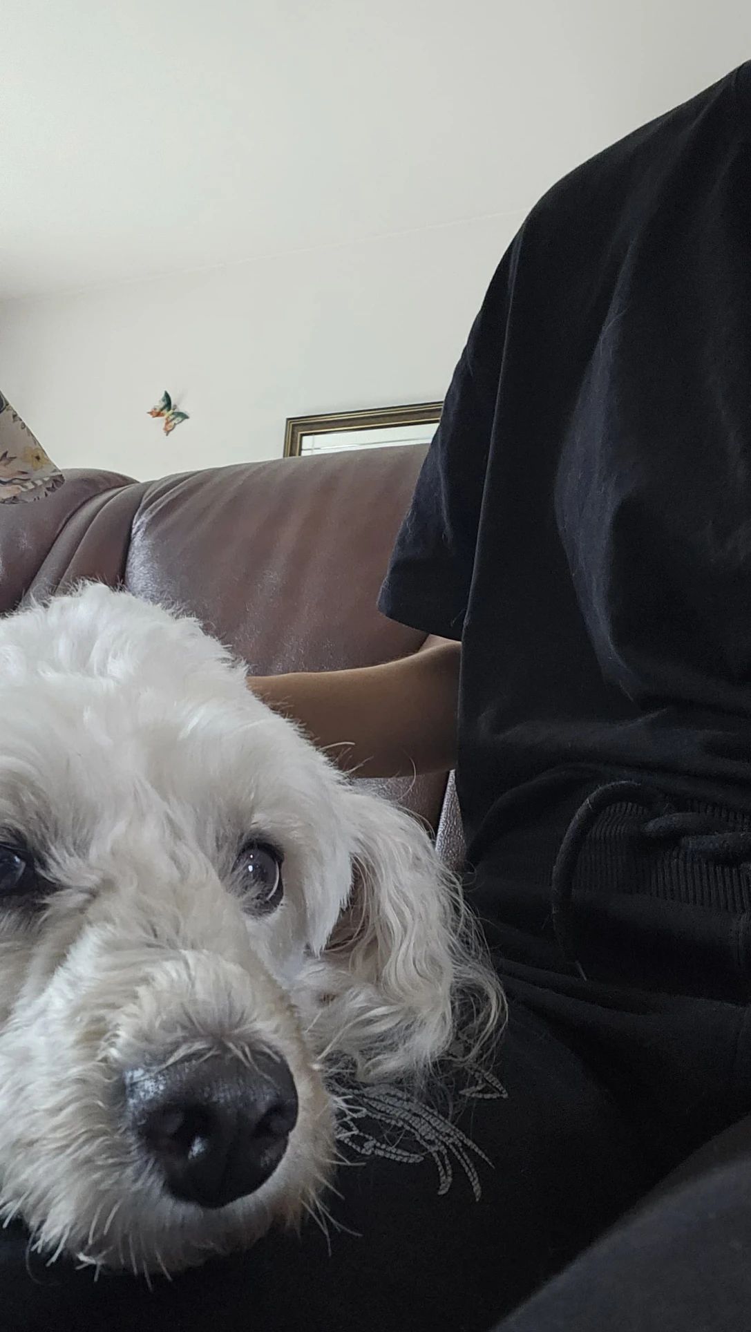 image-8