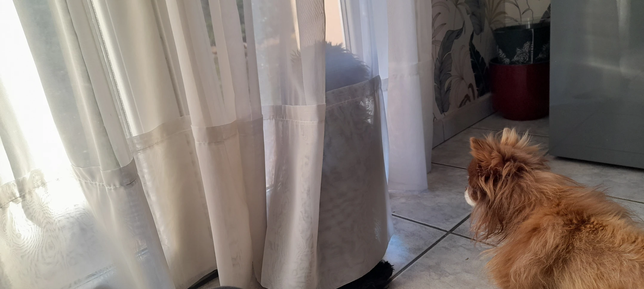 image-14