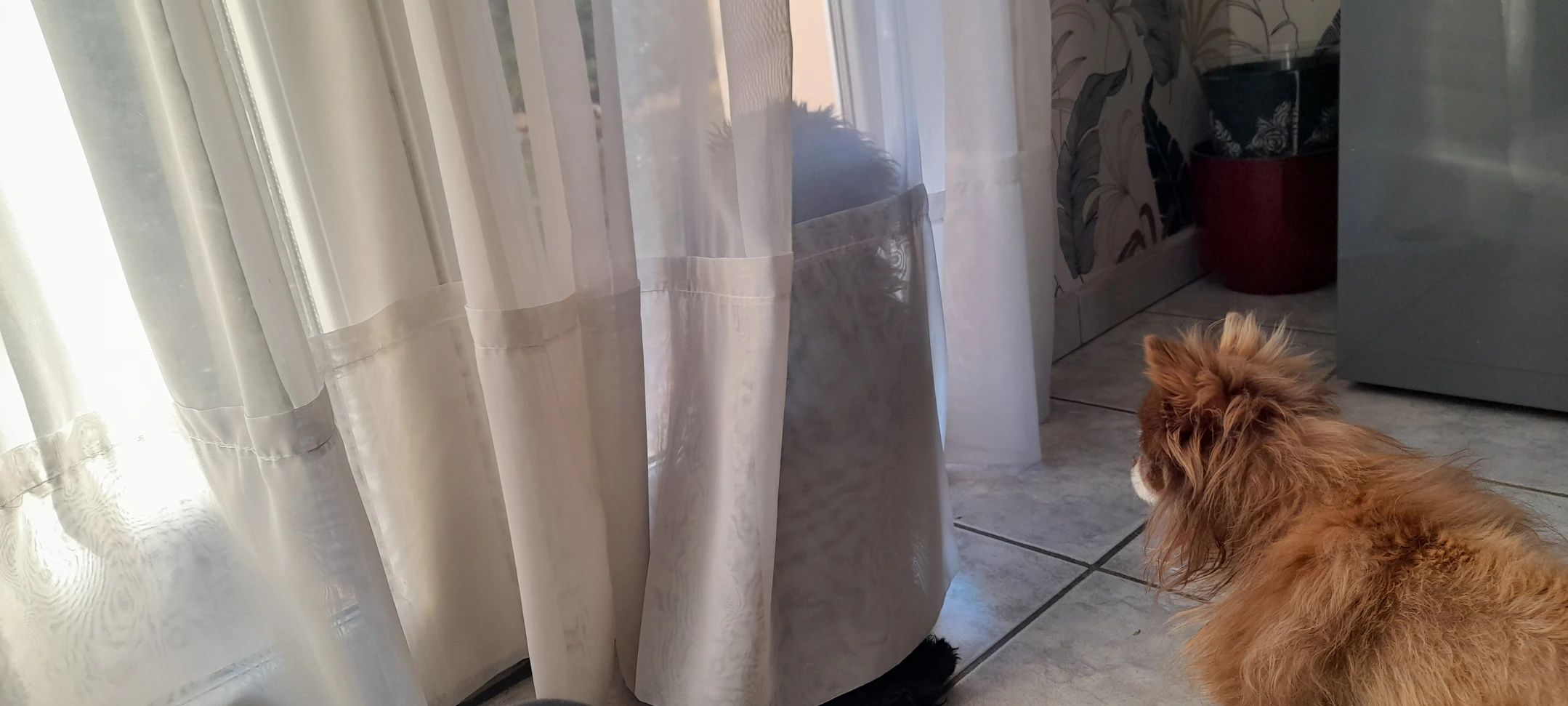 image-14