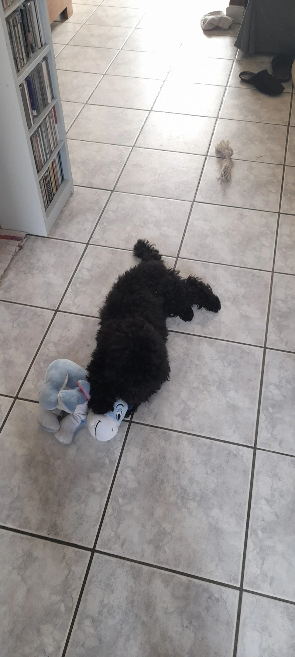 image-16
