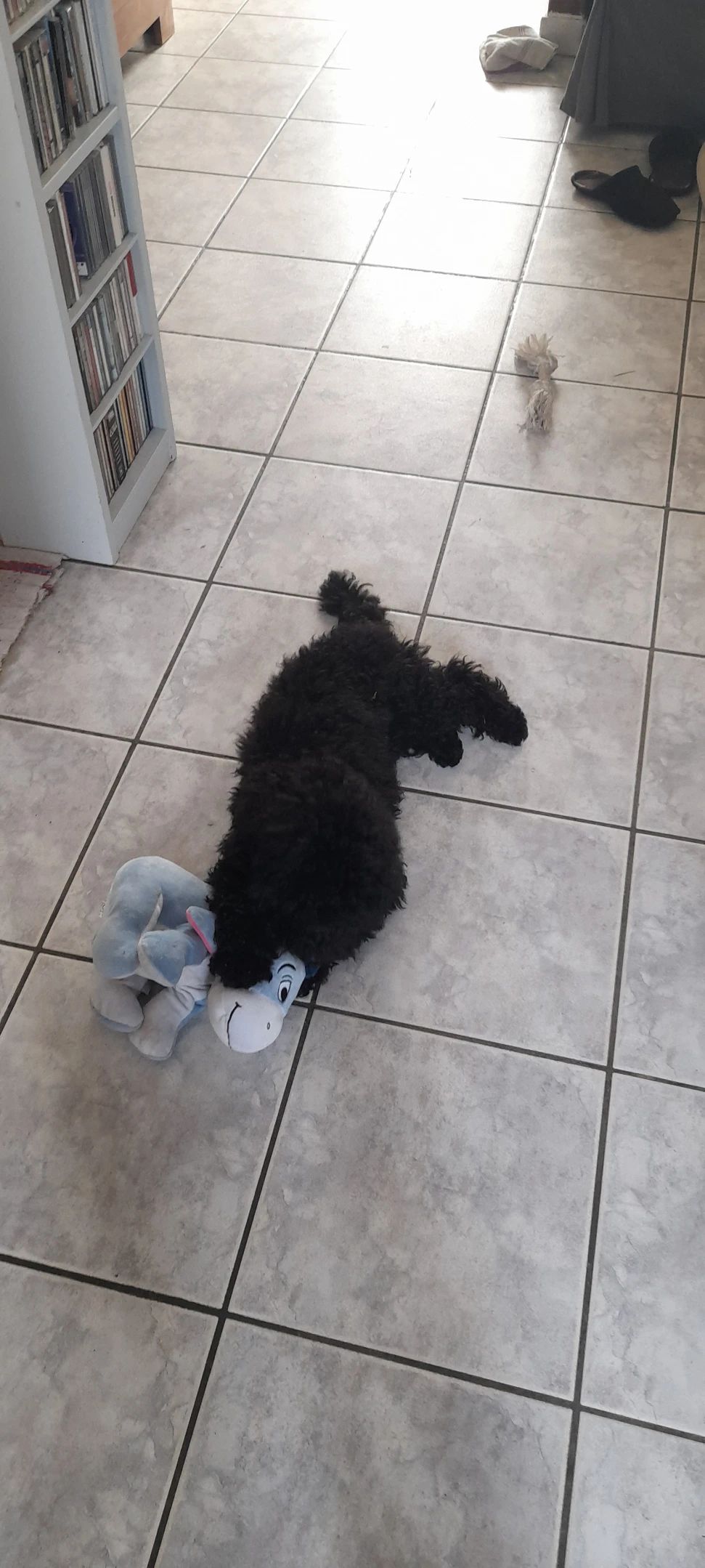 image-16