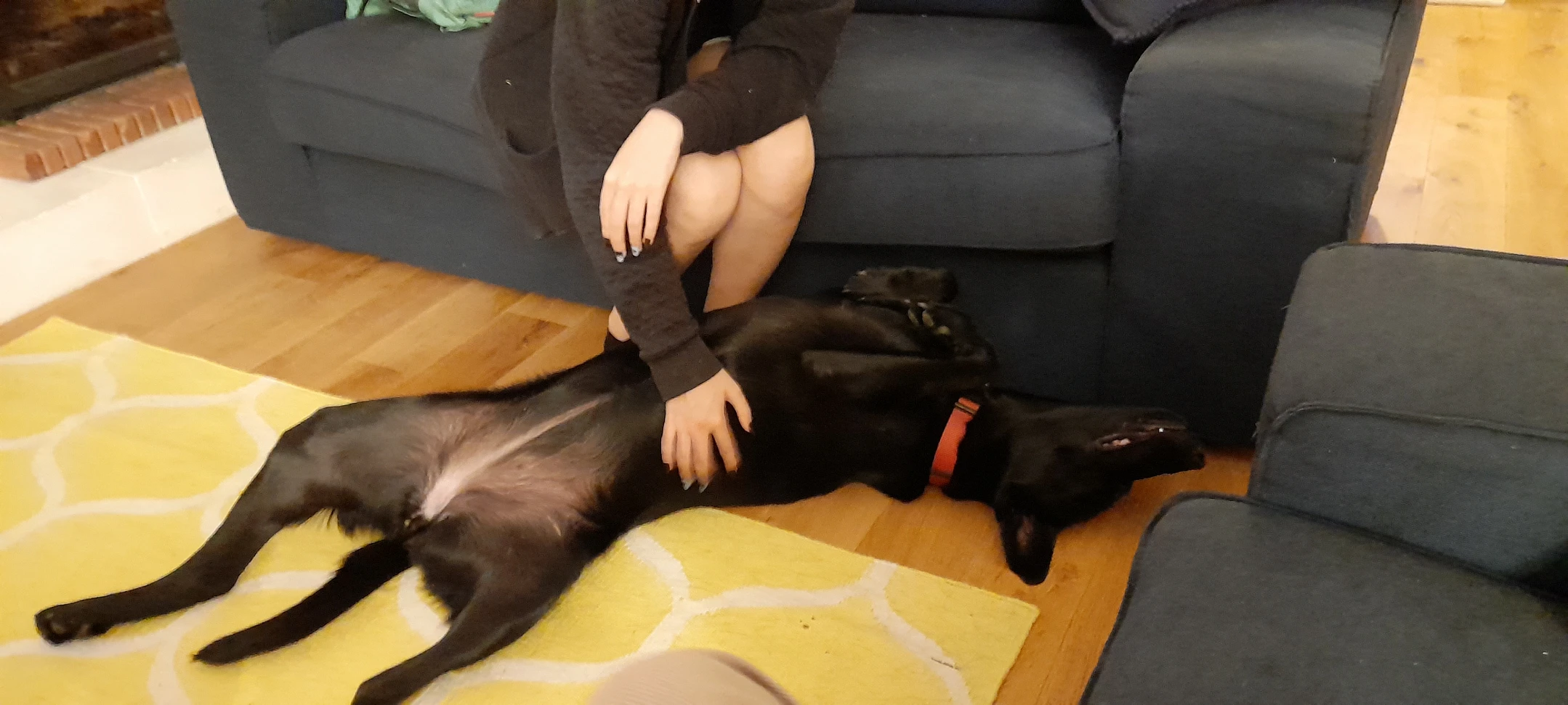 image-6