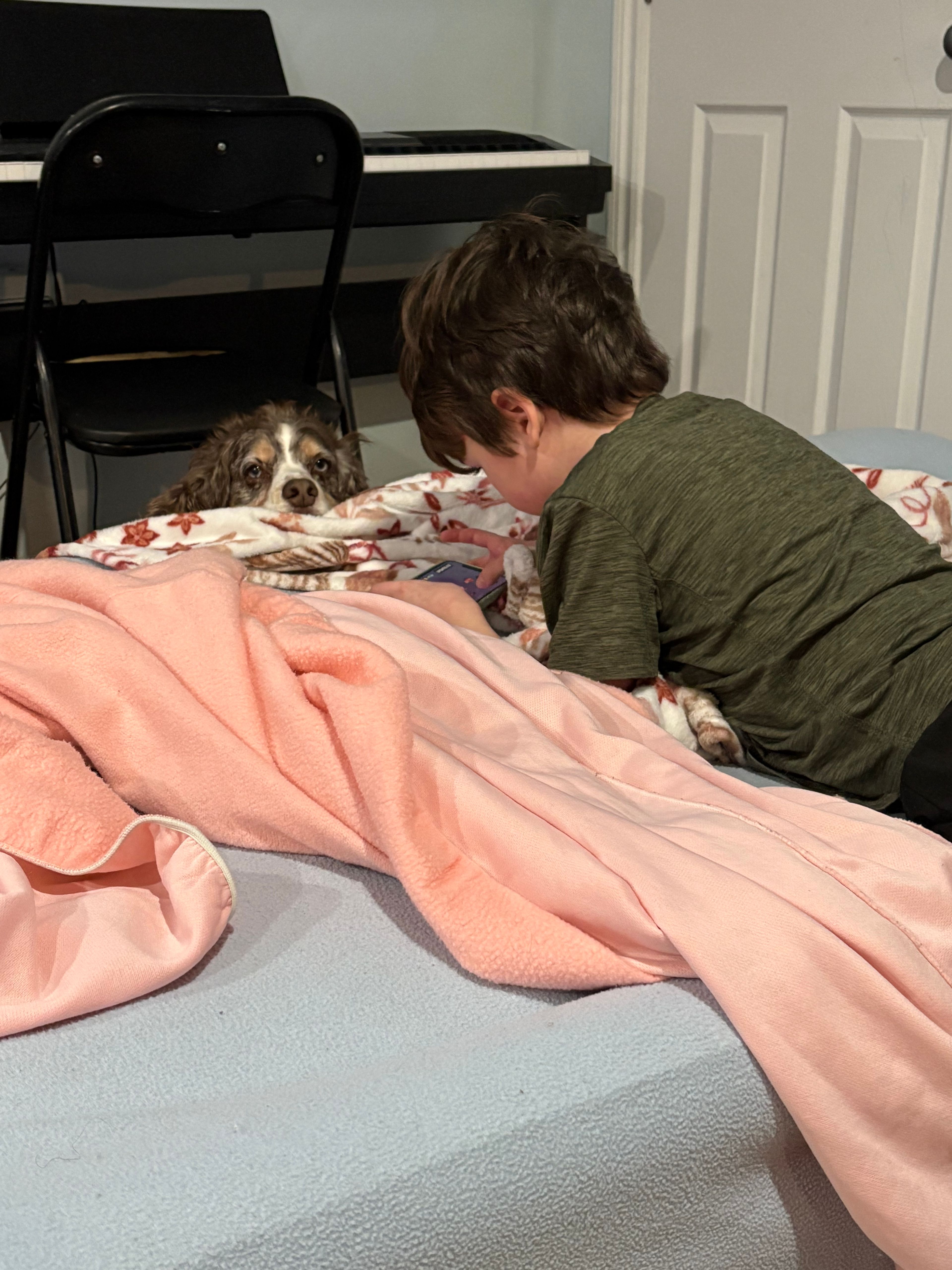 image-7