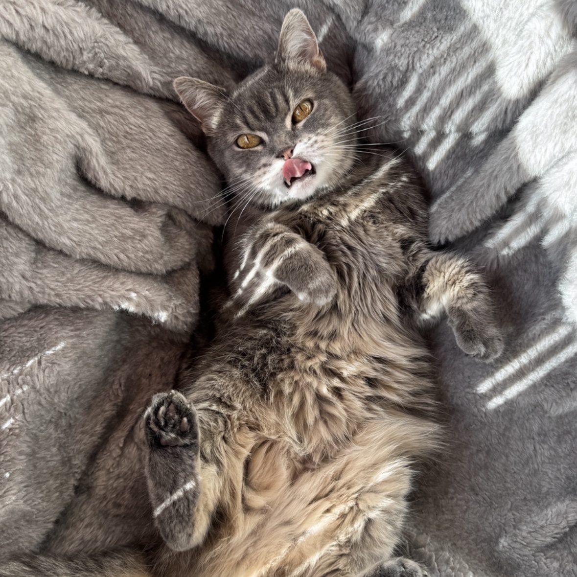 Smiky 