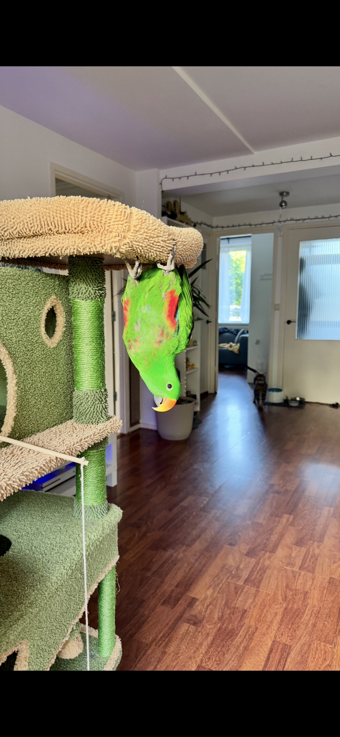 image-17