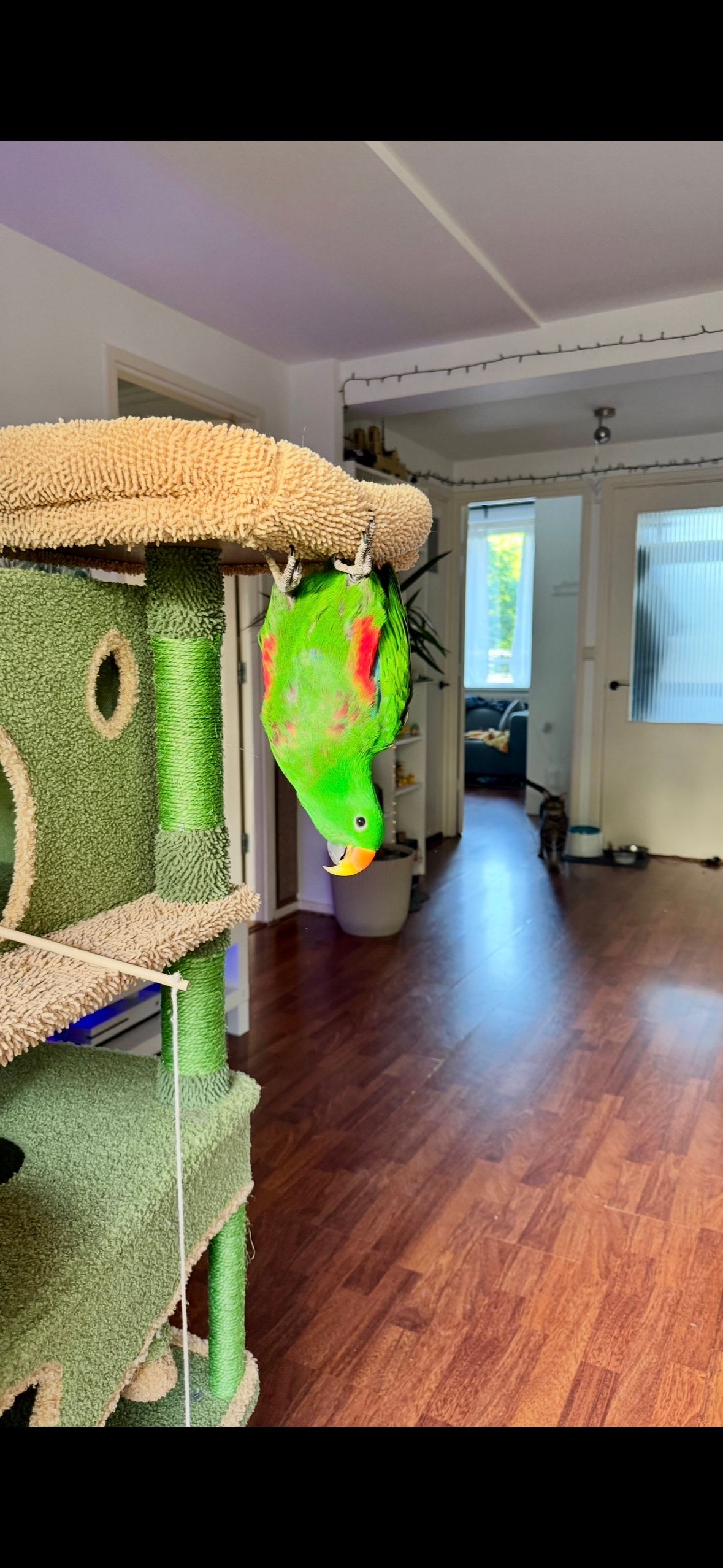 image-17