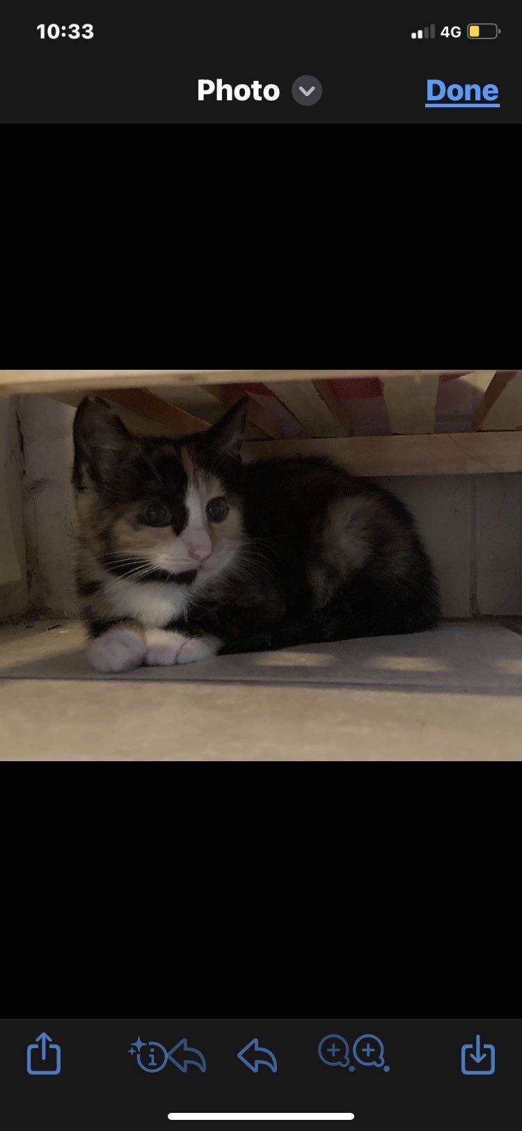 image-12