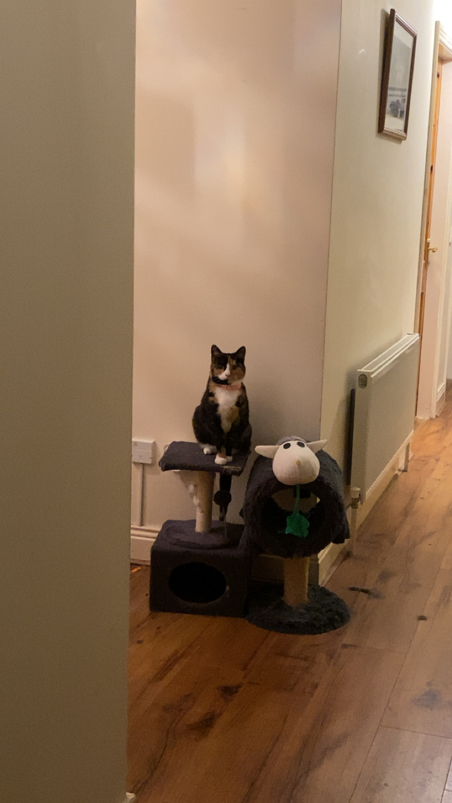 image-14