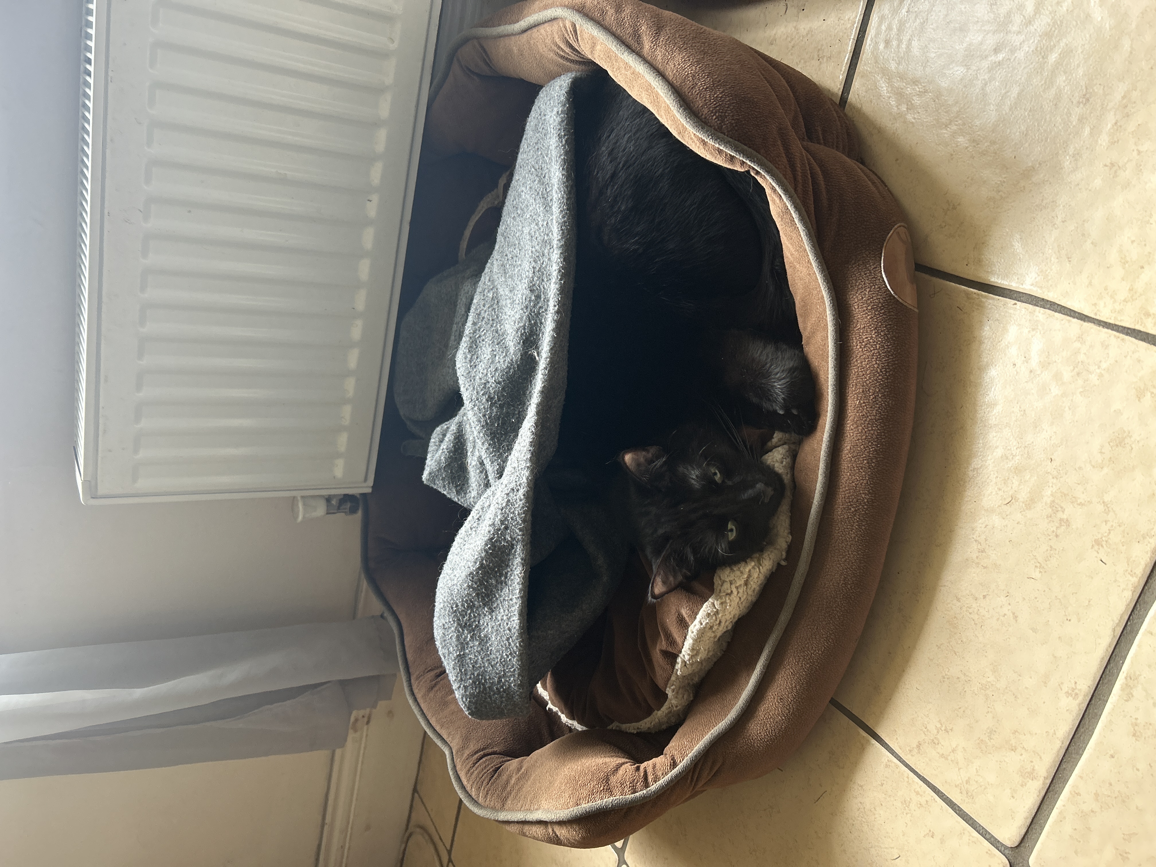 image-16