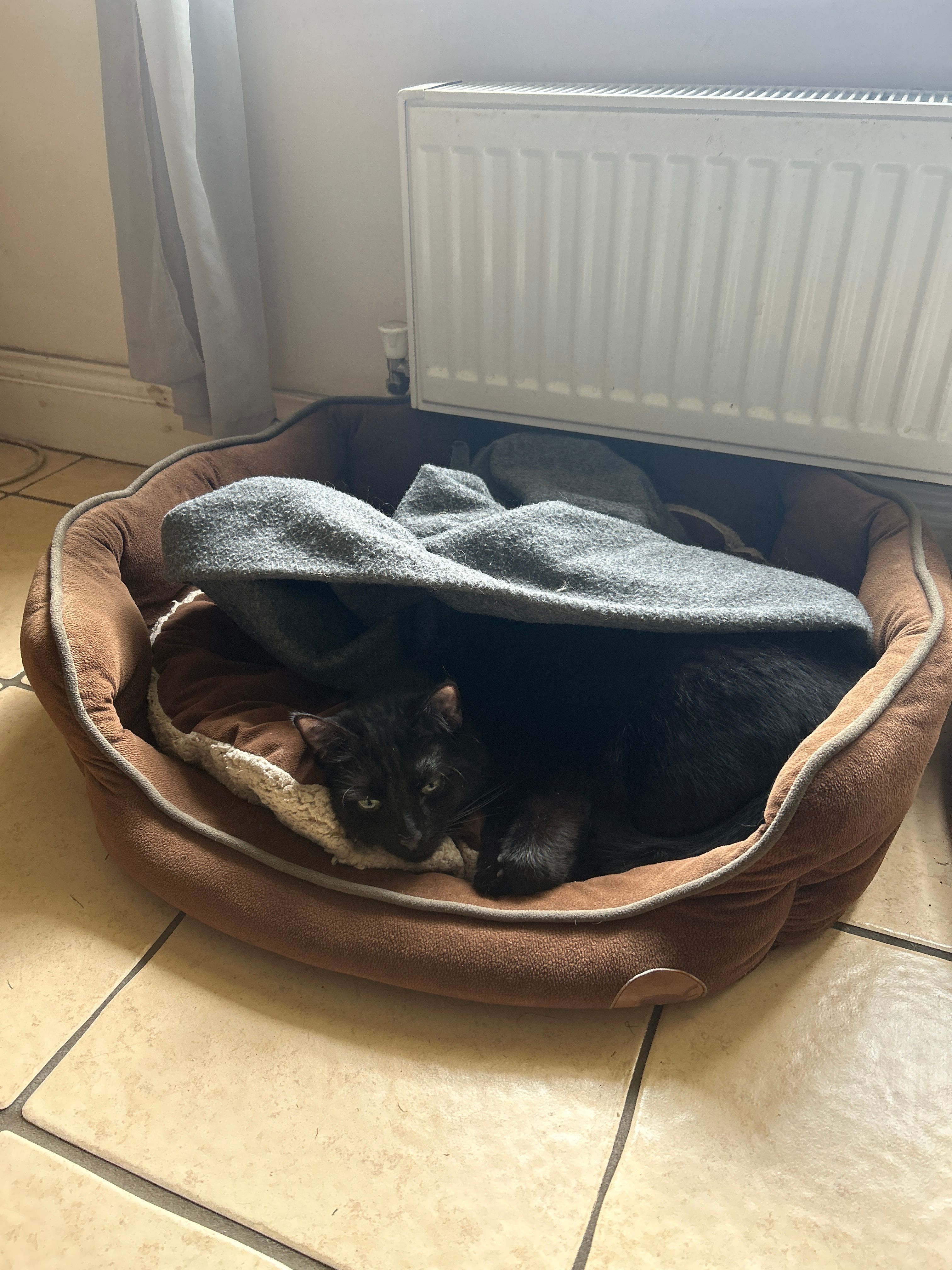 image-16