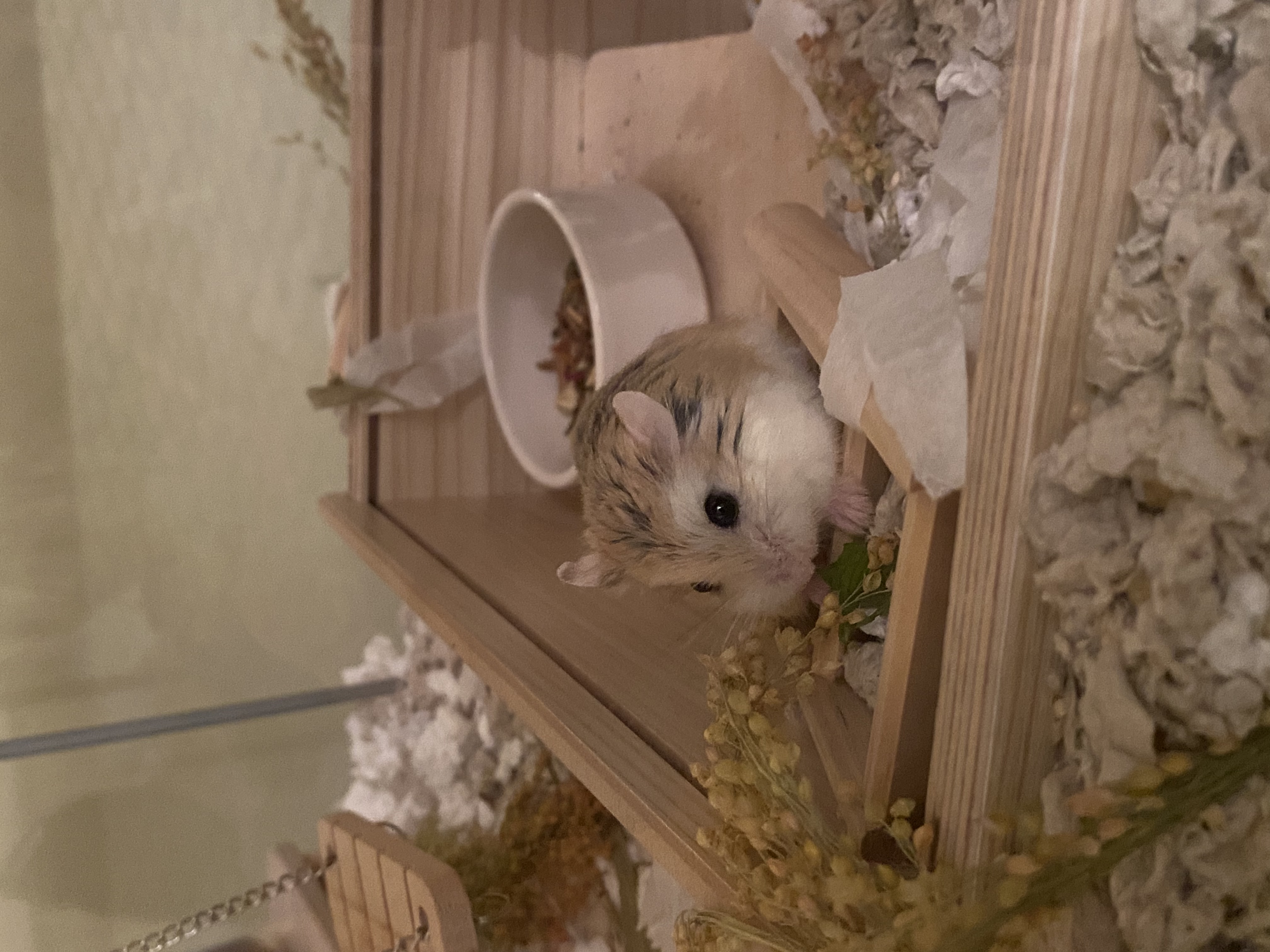 image-6