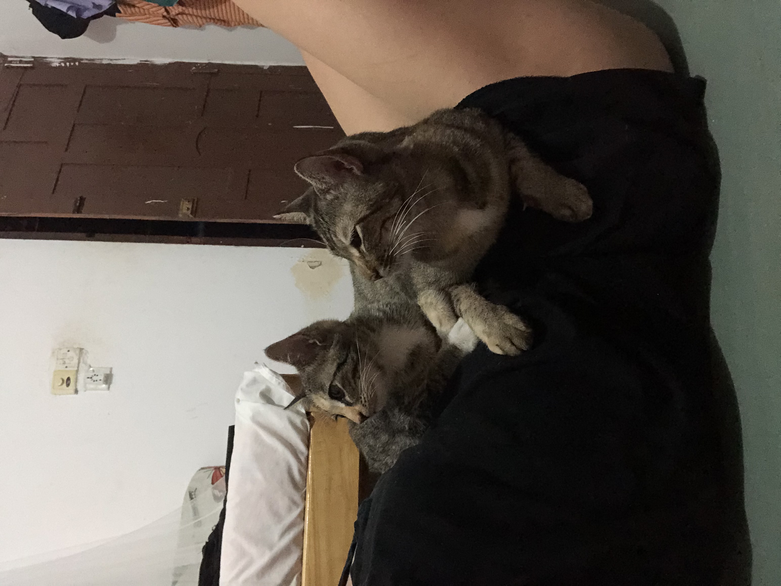 image-9