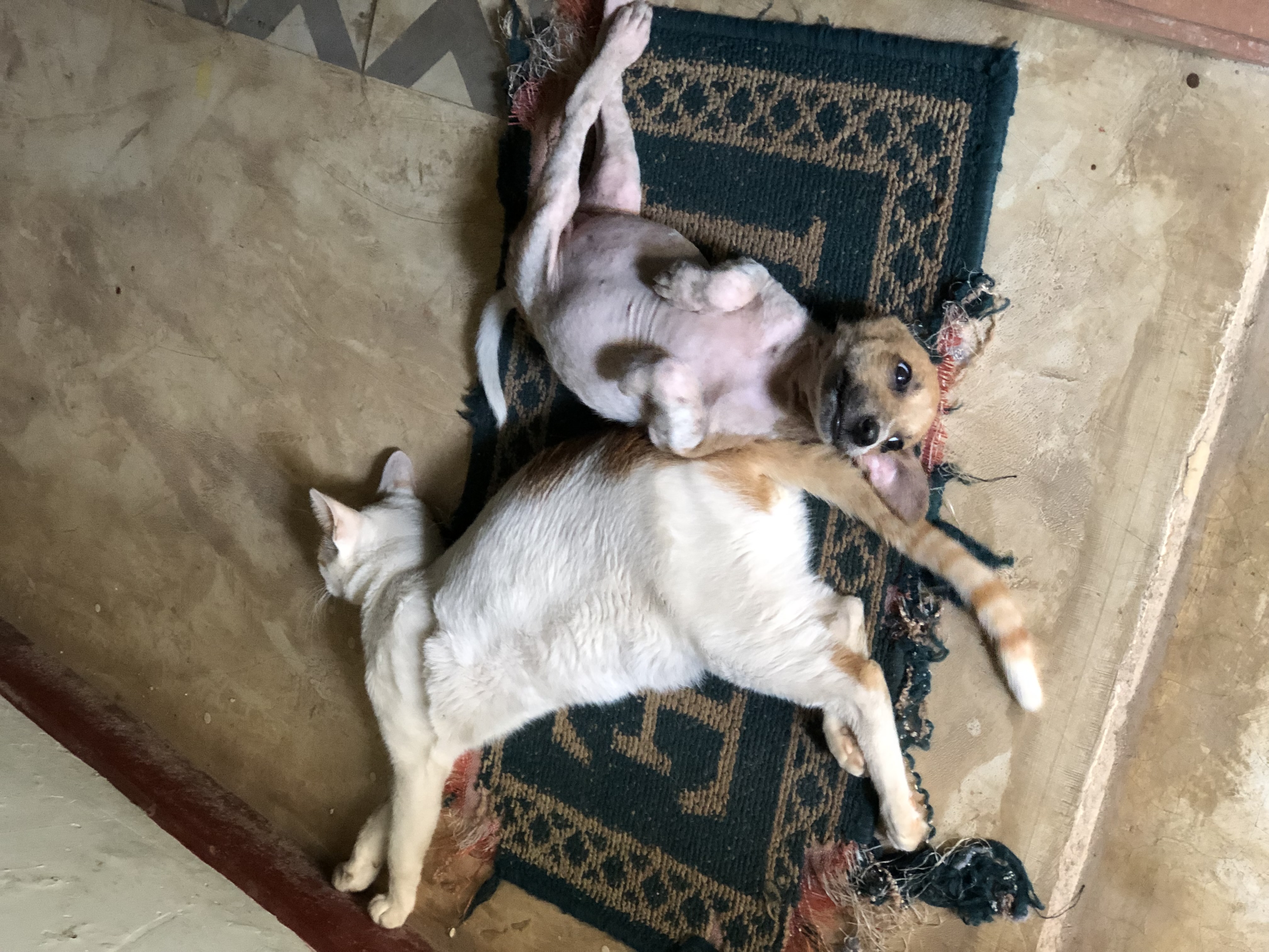 image-8