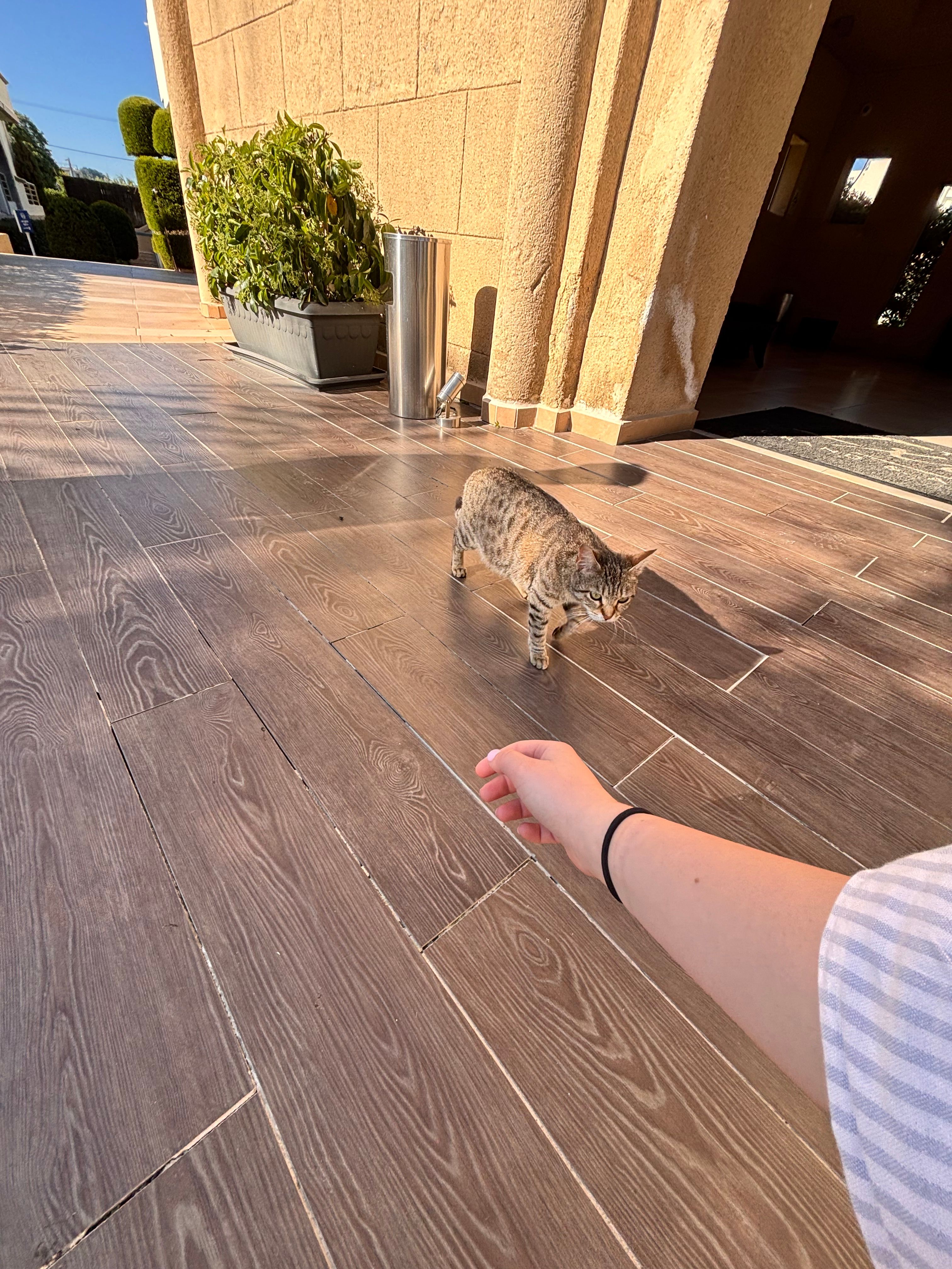image-7