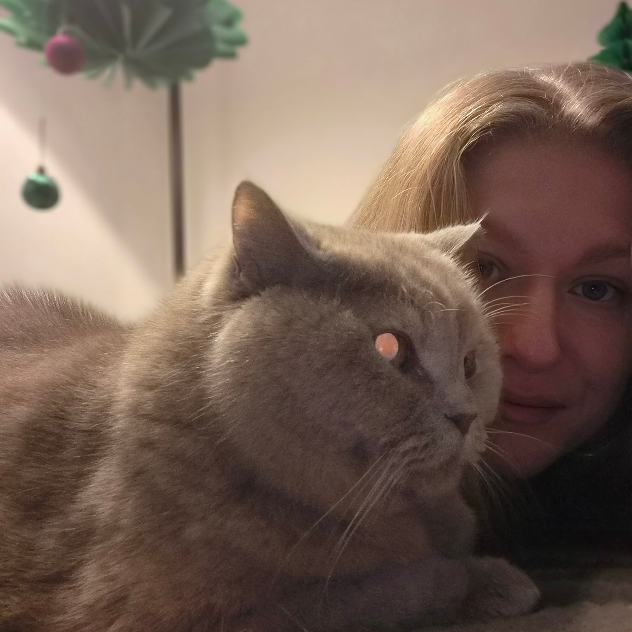 Alina