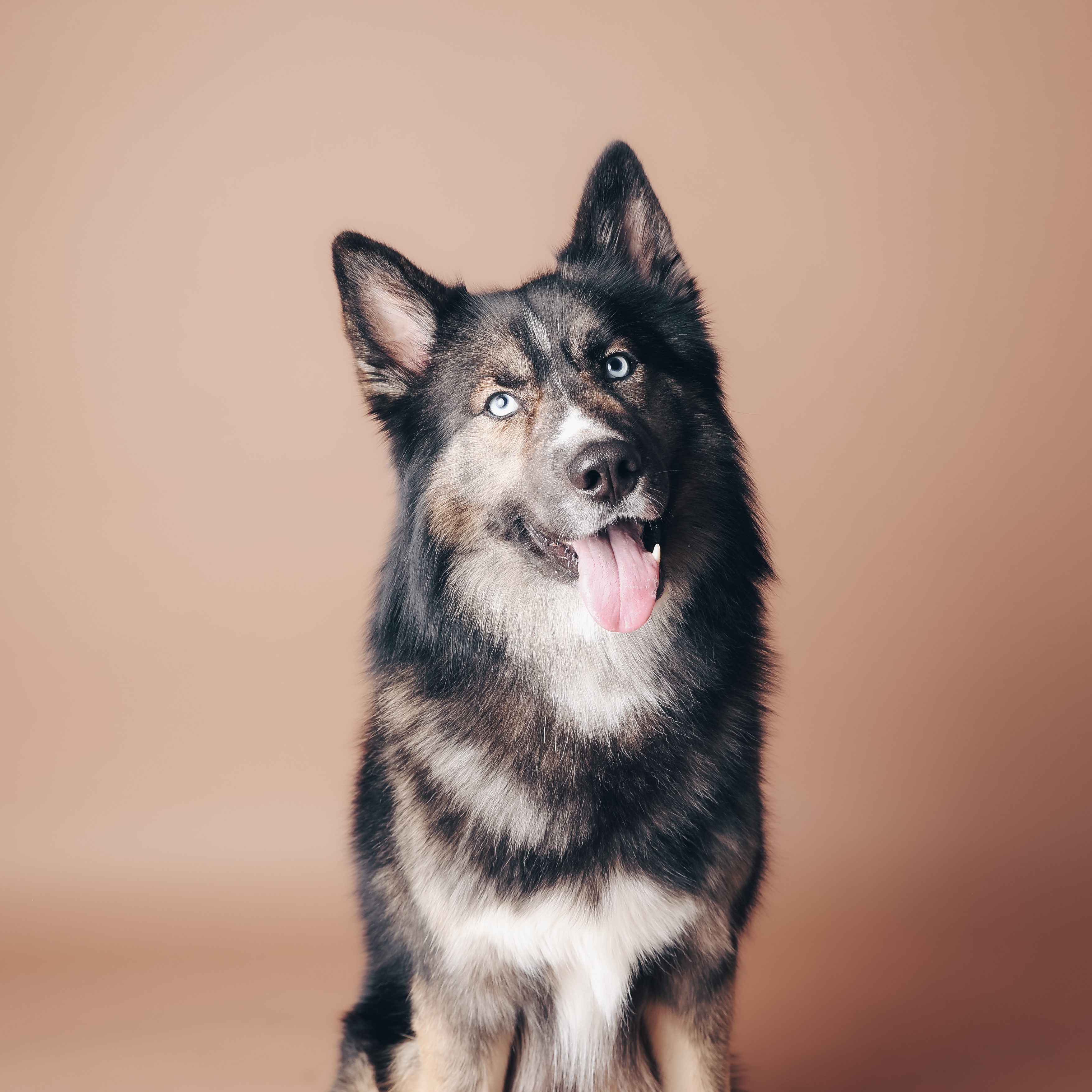 Oskar