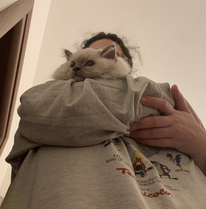 image-10