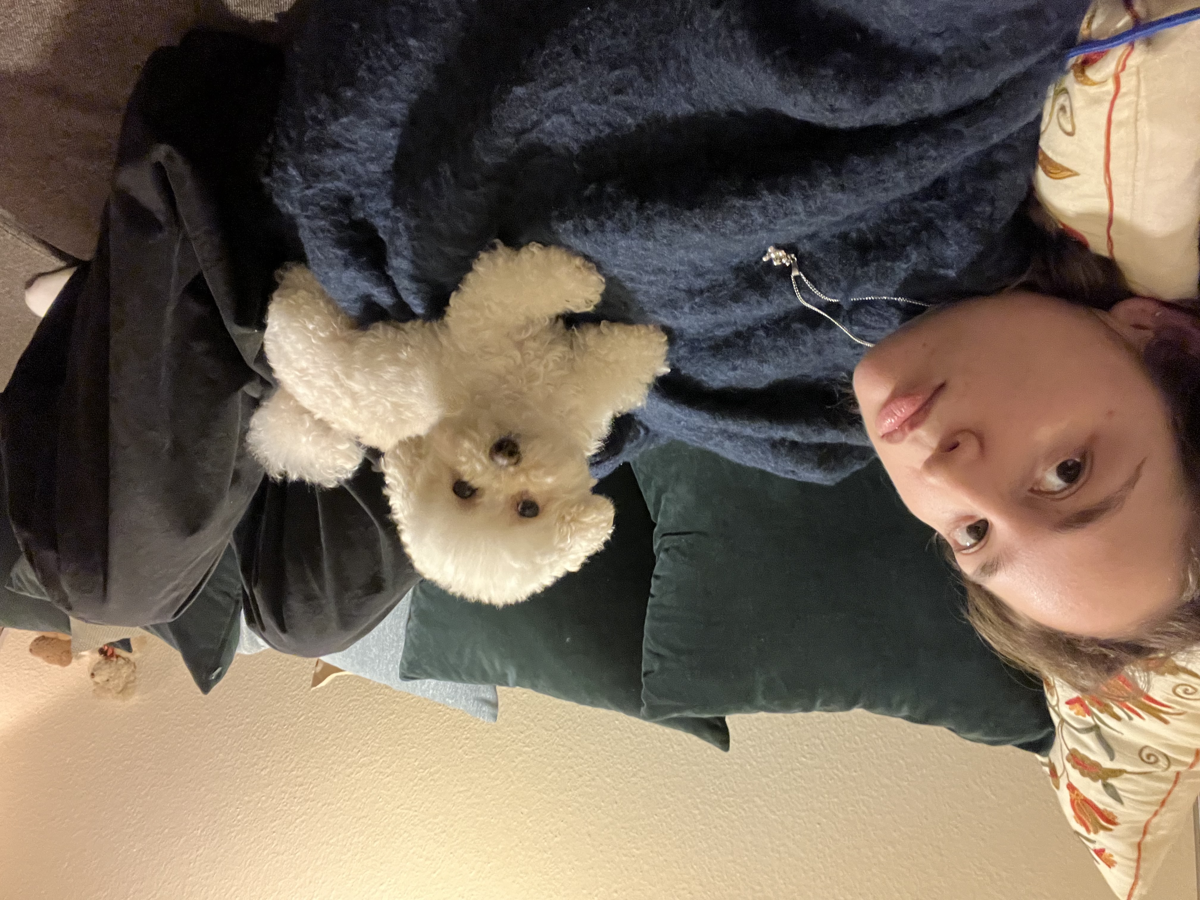 image-4