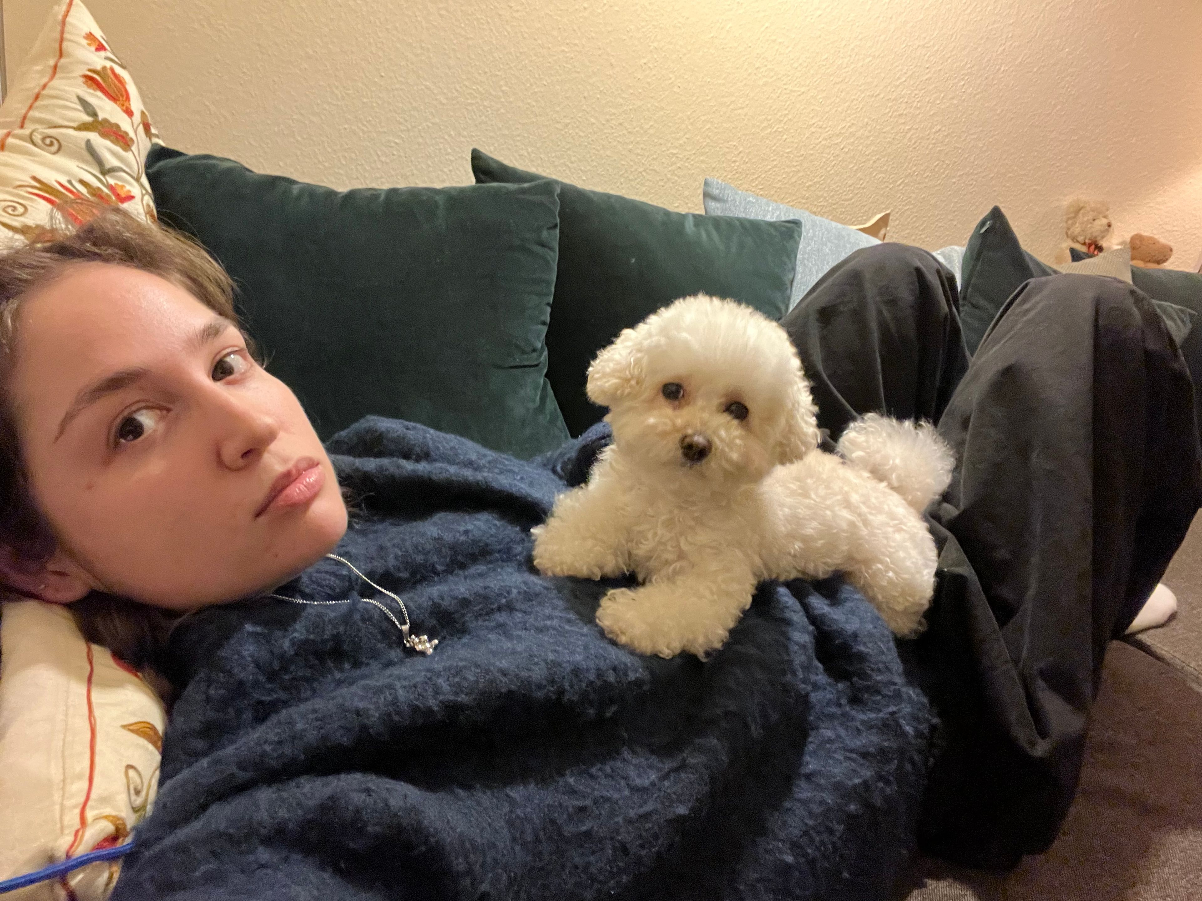 image-4