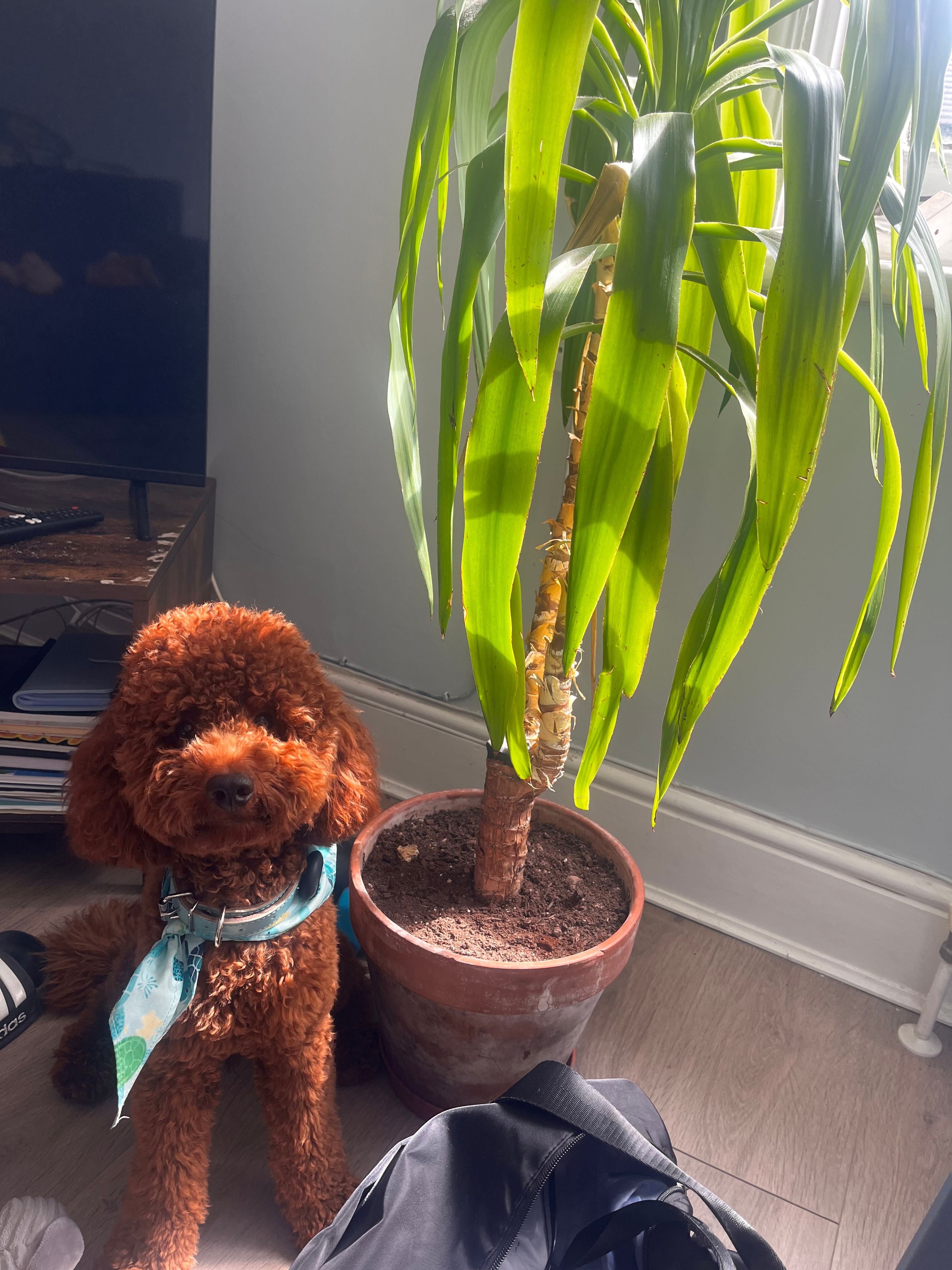 image-13