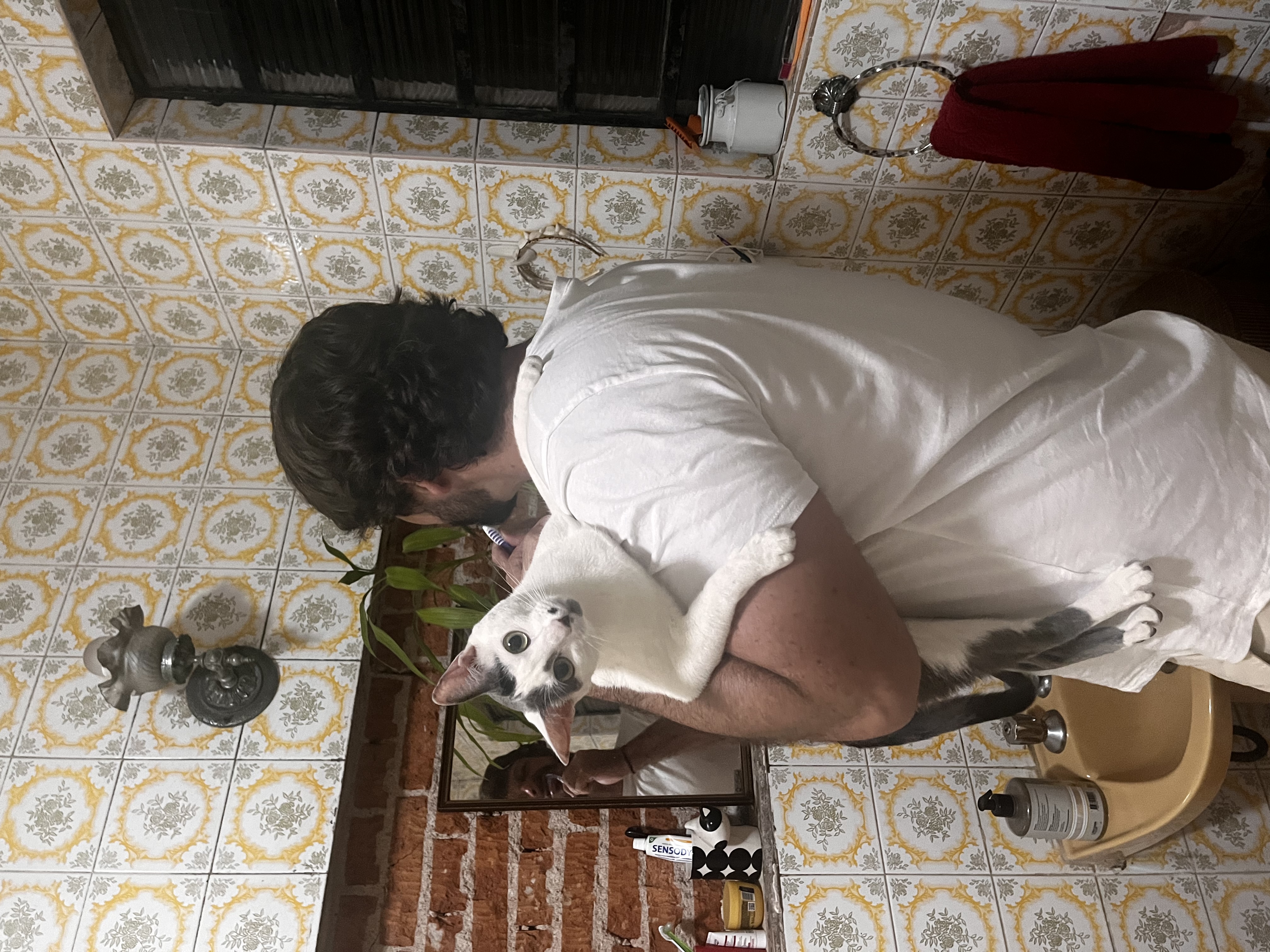 image-4