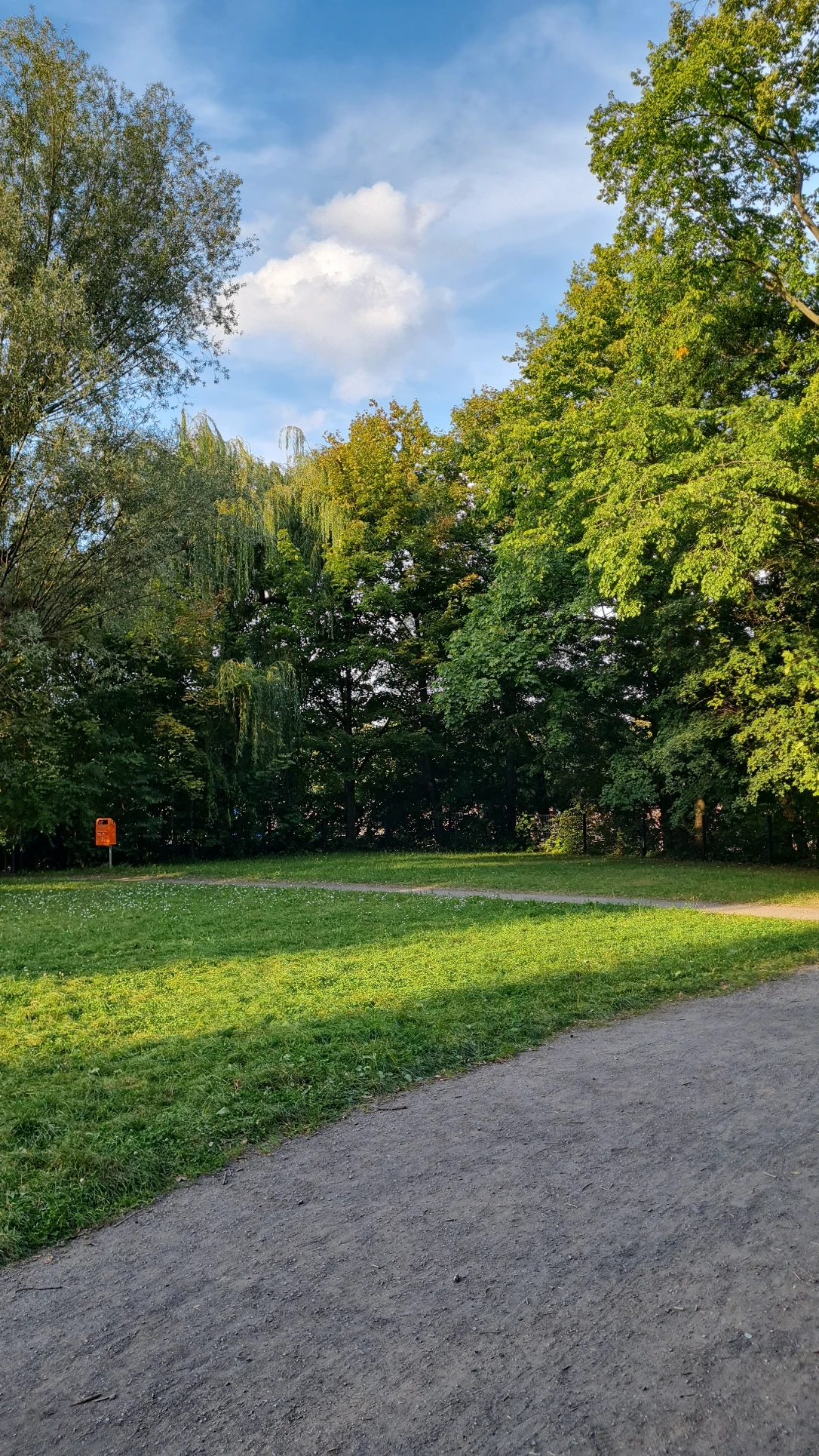 image-20