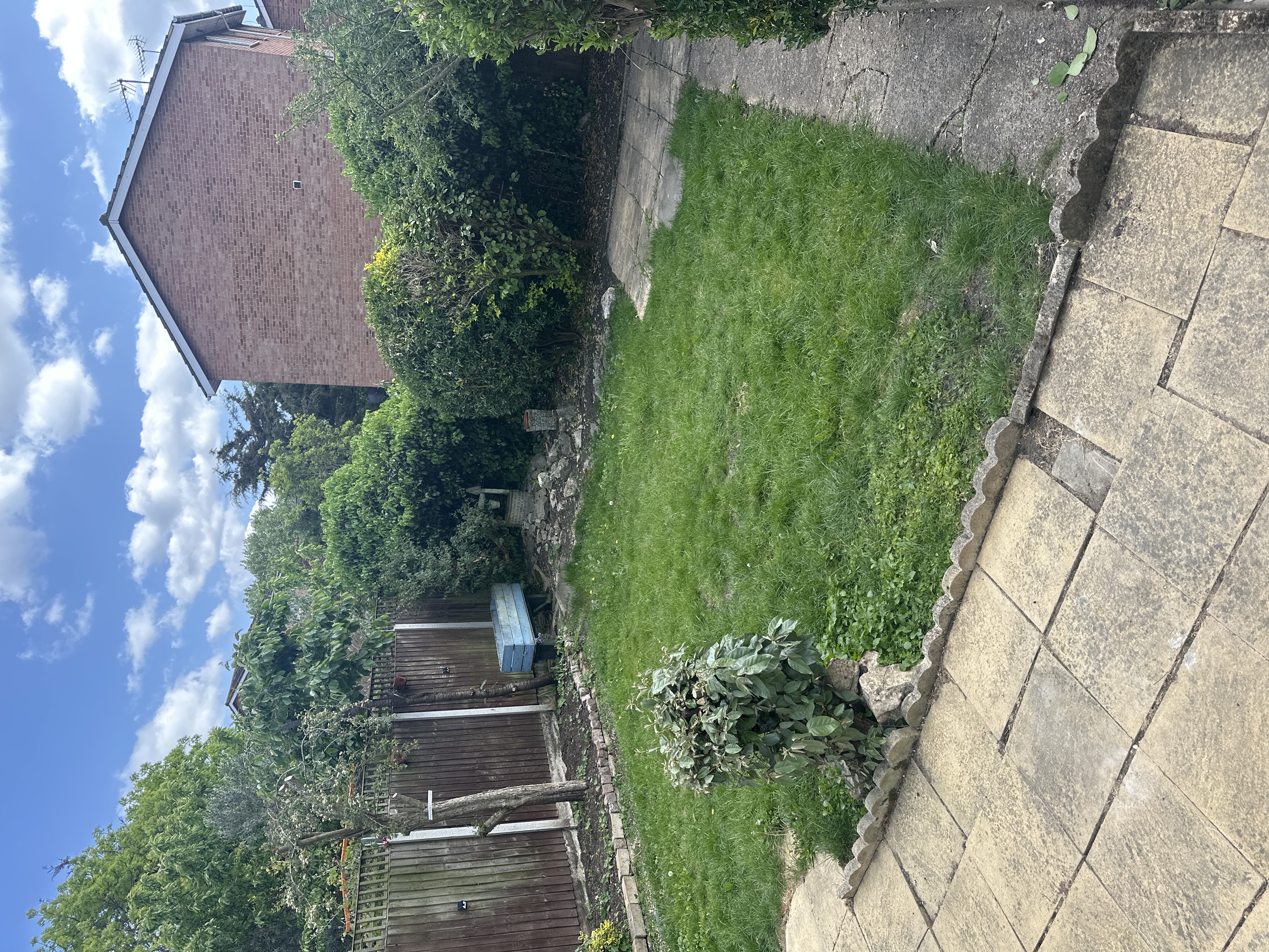 image-14