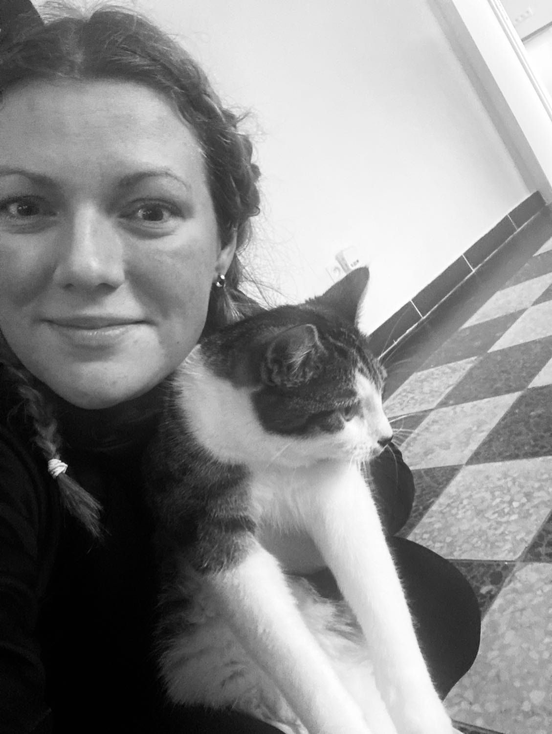image-8
