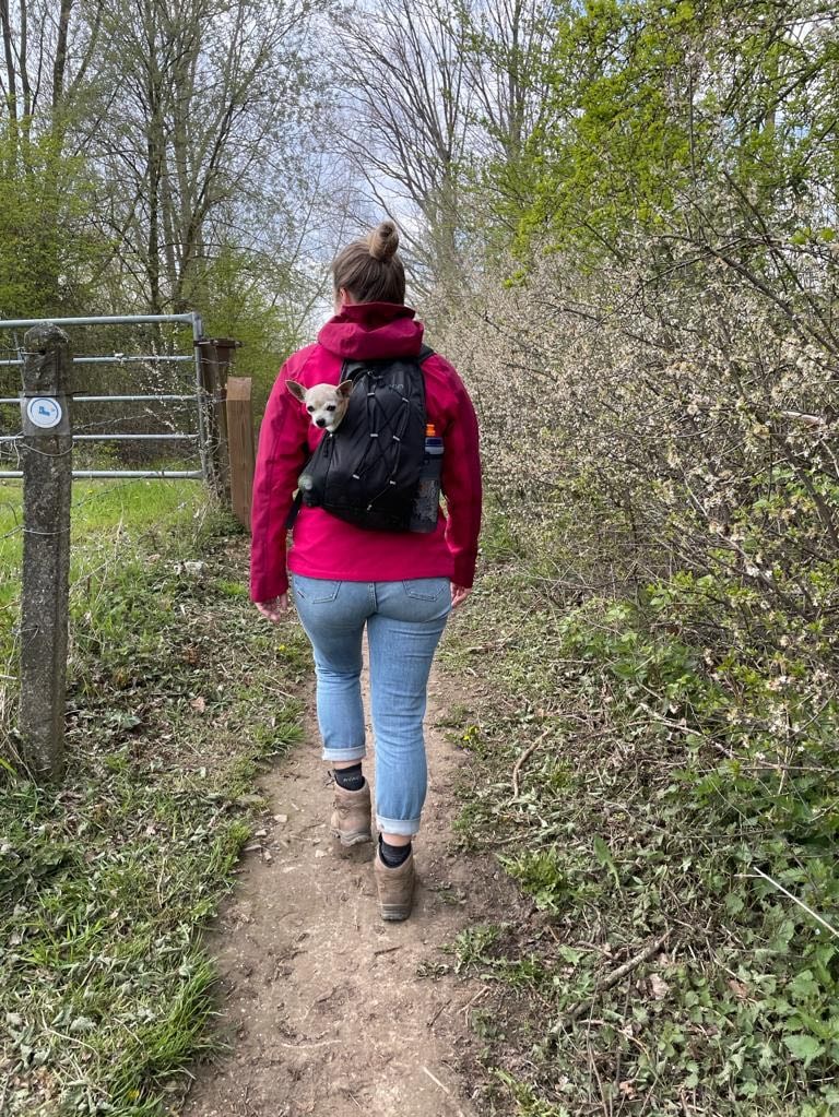 image-3