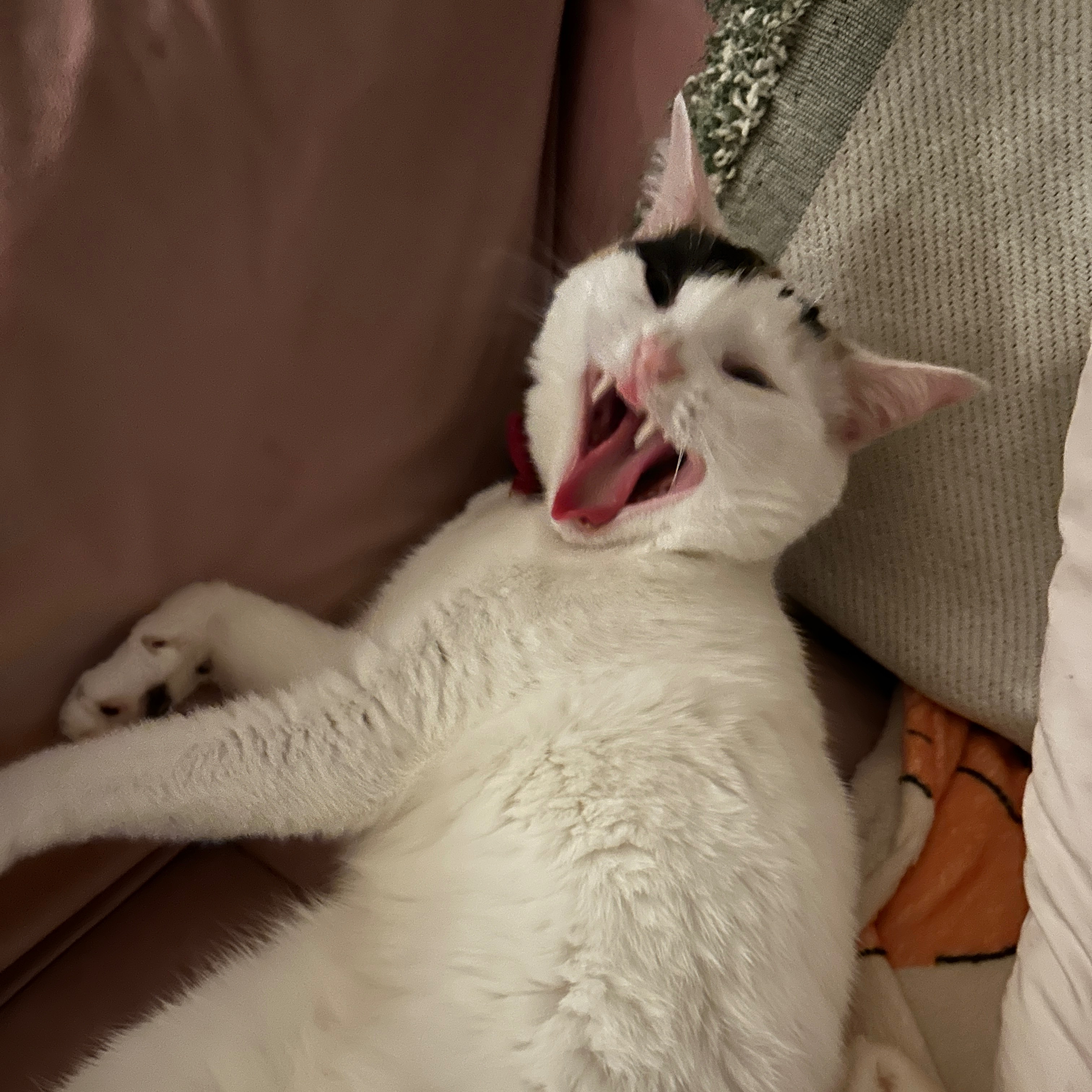 Luna