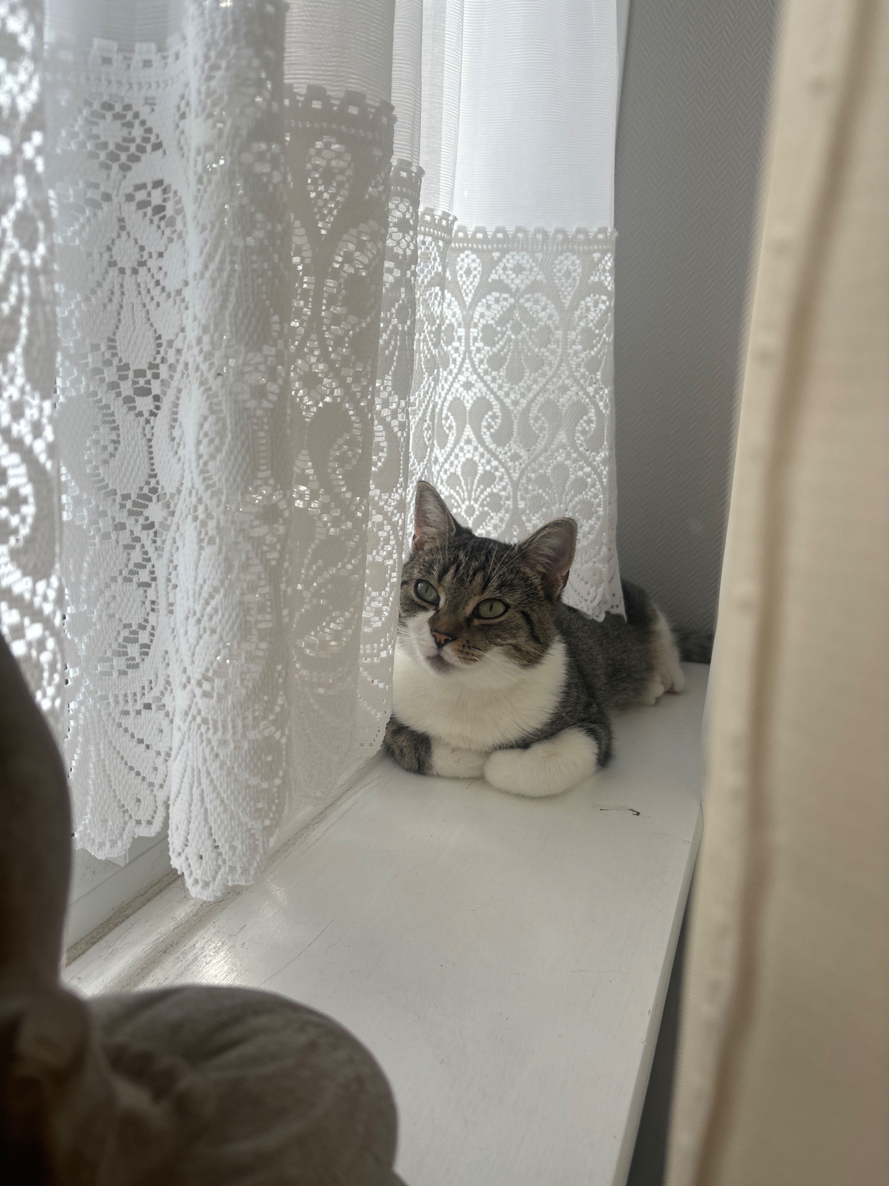 image-5