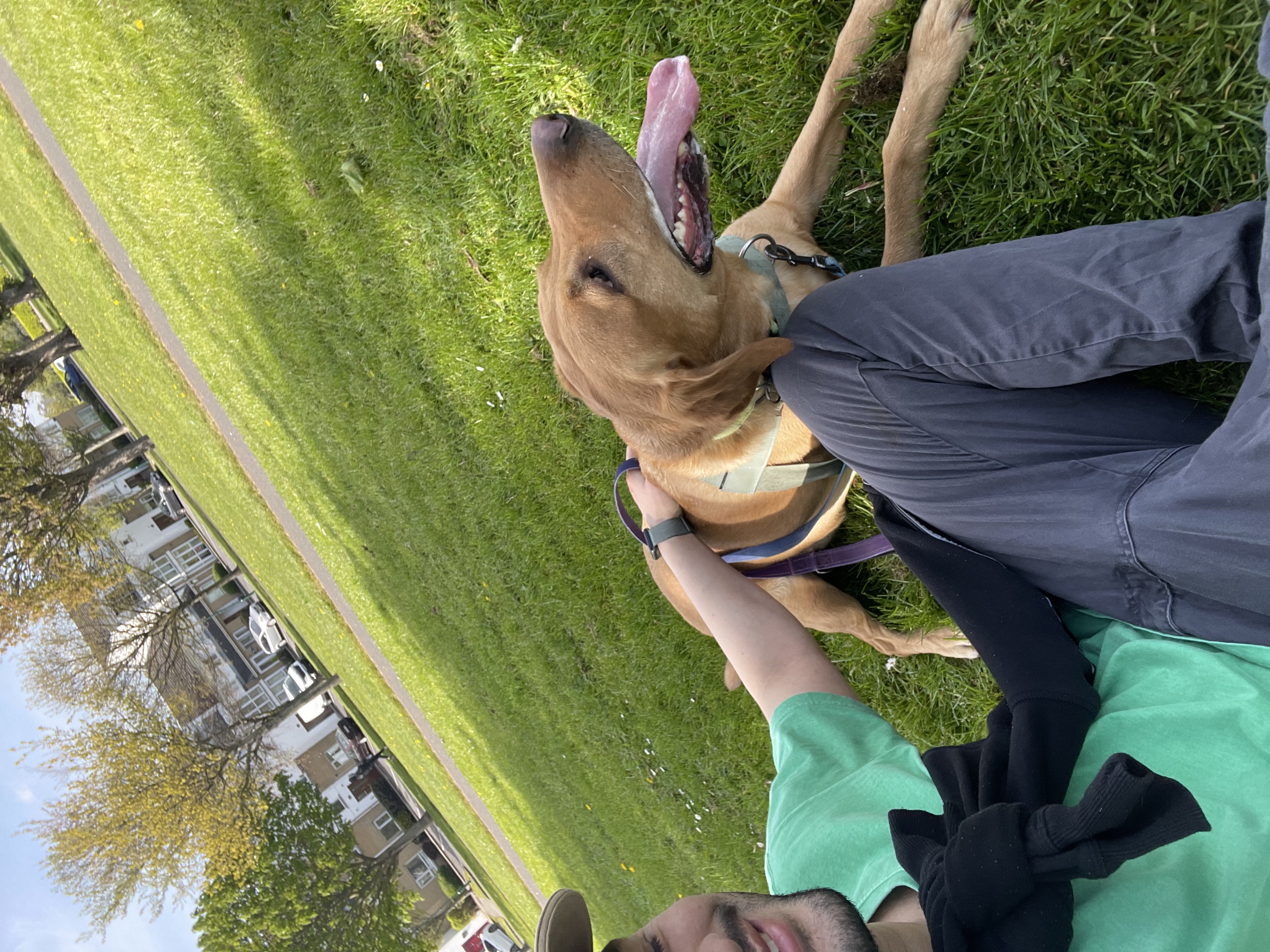 image-6
