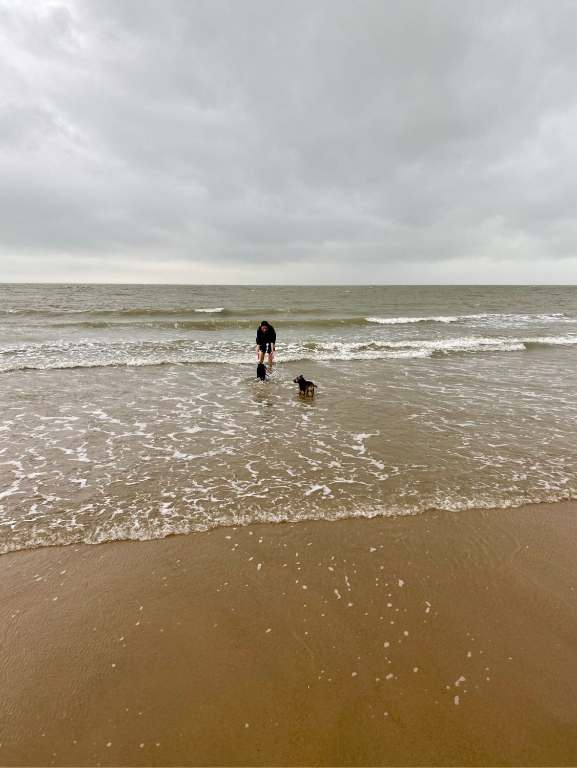 image-11