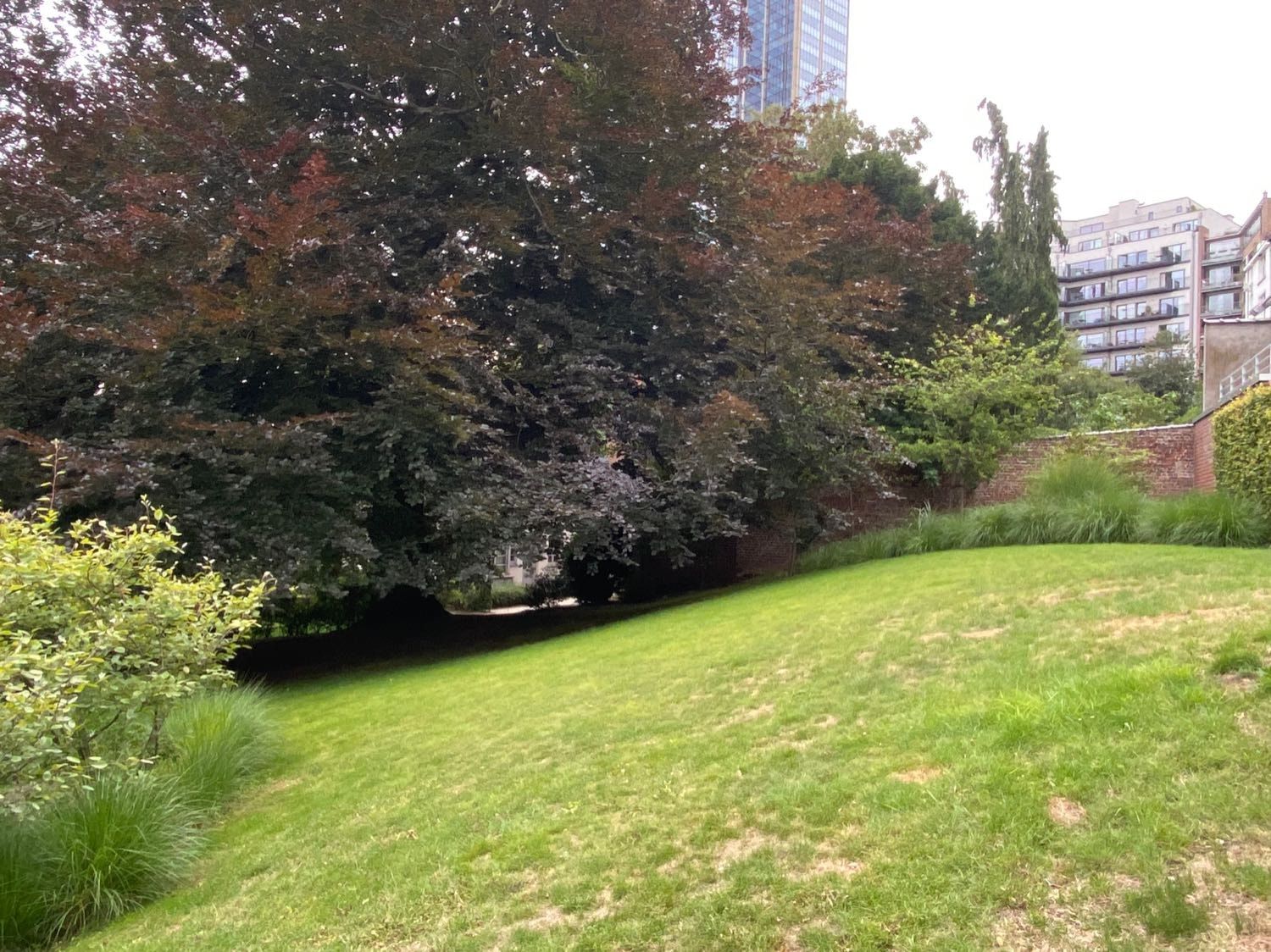 image-14